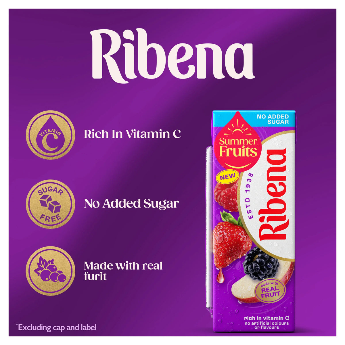 Ribena Summer Fruits No Added Sugar Juice Drink 250ml — image 2