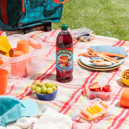 Robinsons Double Strength Summer Fruits No Added Sugar Squash 1L — image 2