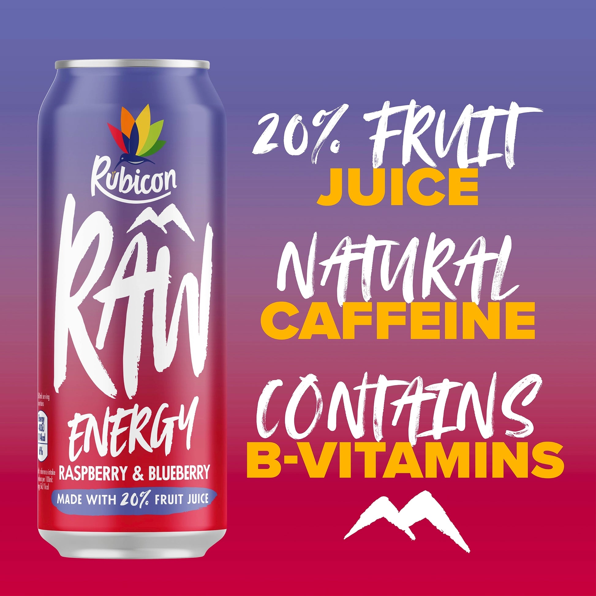 Rubicon Raw Energy Raspberry Blueberry 500Ml — image 2