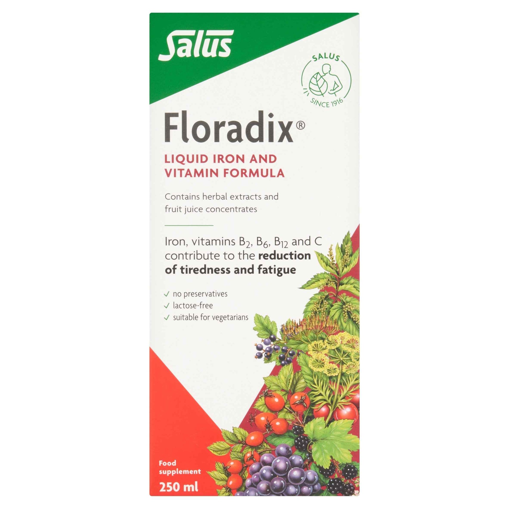 Salus Floradix Liquid Iron And Vitamin Supplement 250 Ml