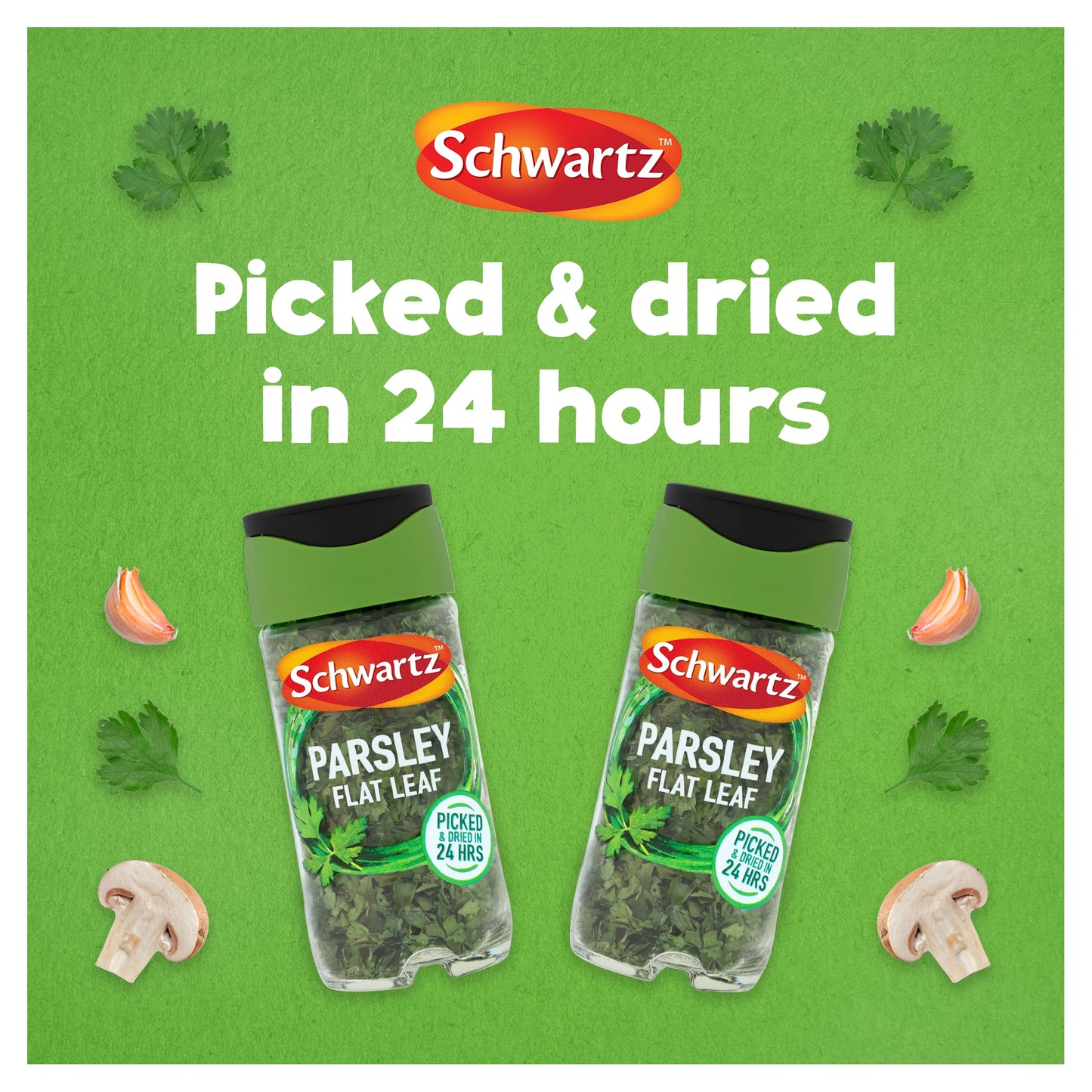 Schwartz Flat Leaf Parsley 3g — image 4