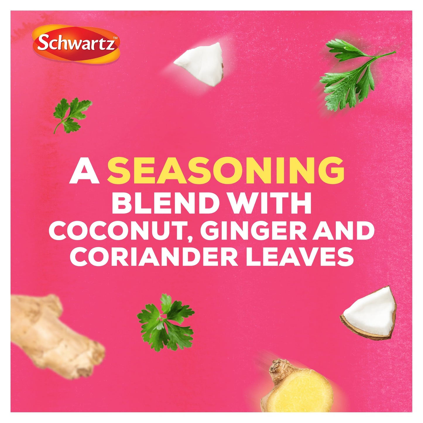 Schwartz Las Iguanas Bahian Coconut Curry Recipe Mix 25g — image 3