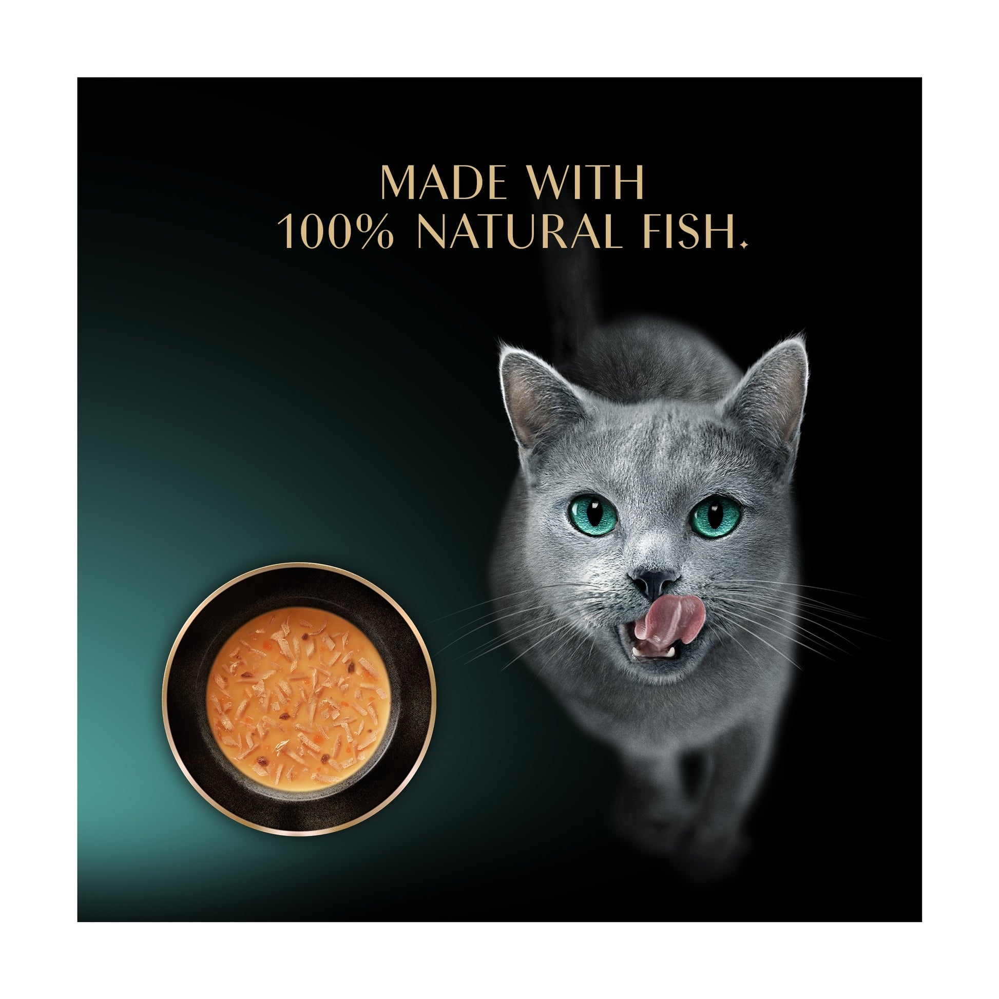 Sheba Classics Wet Cat Food Soup Pouches Tuna Fillet 4x40g — image 3