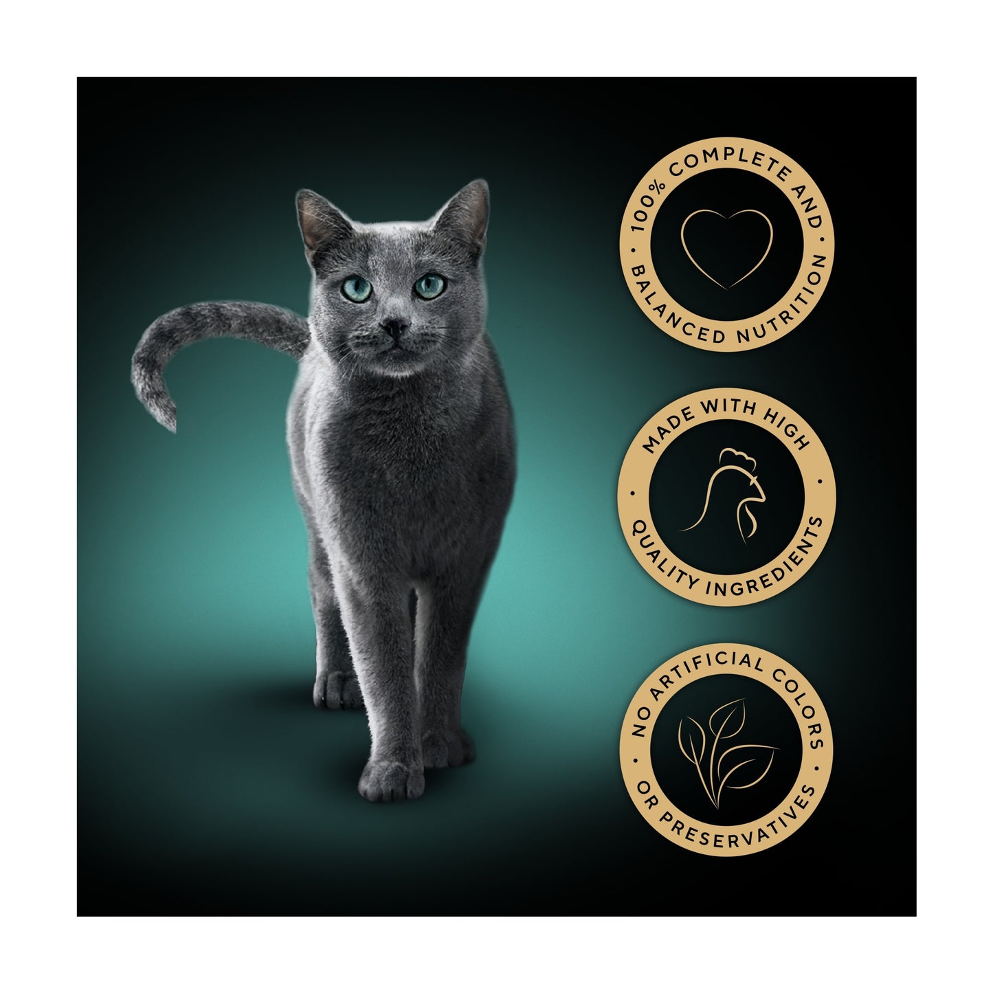Sheba Classics Wet Cat Food Tray Chicken in Terrine 85g — image 2