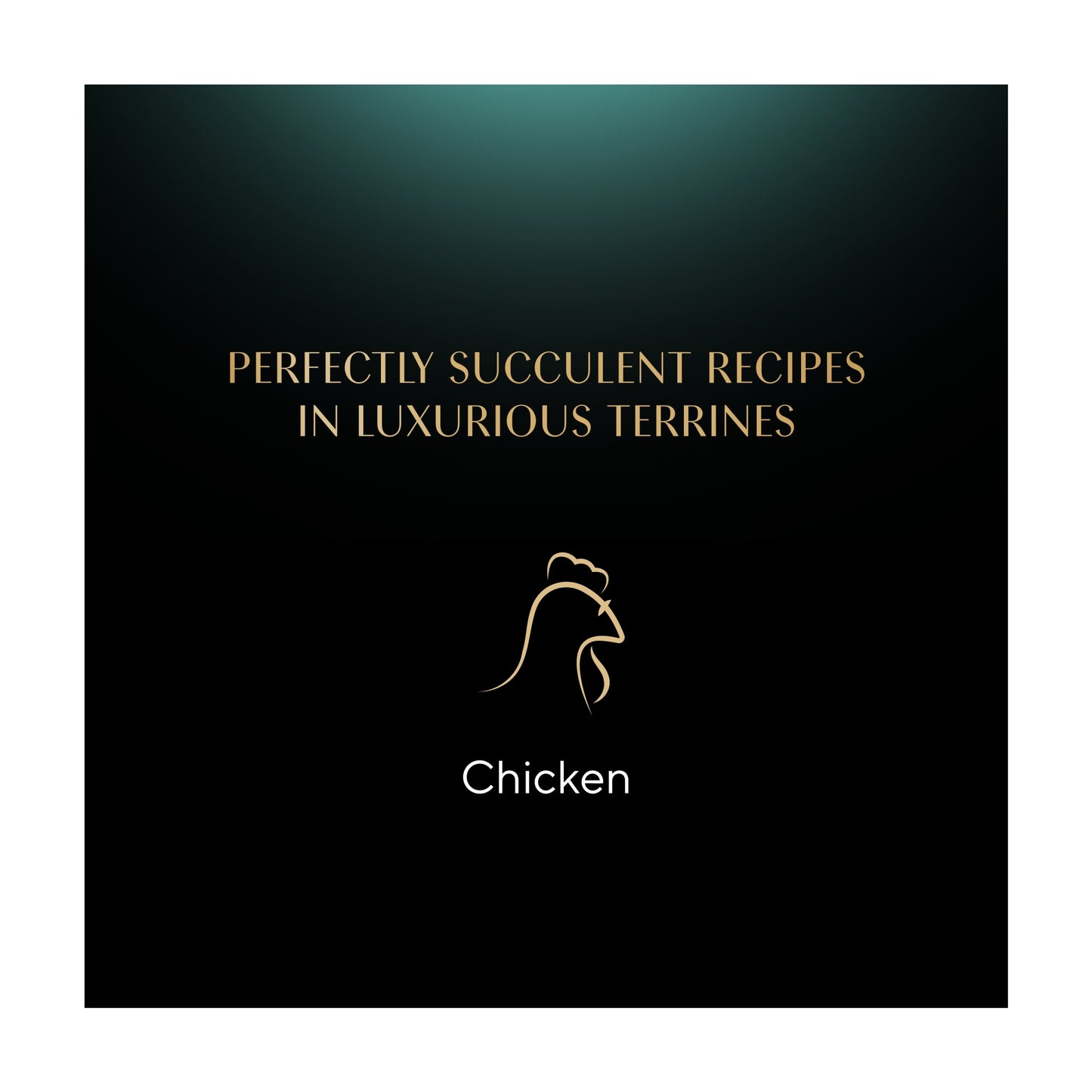 Sheba Classics Wet Cat Food Tray Chicken in Terrine 85g — image 4