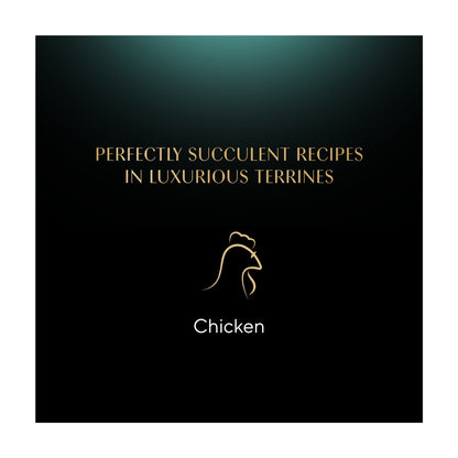 Sheba Classics Wet Cat Food Tray Chicken in Terrine 85g — image 4