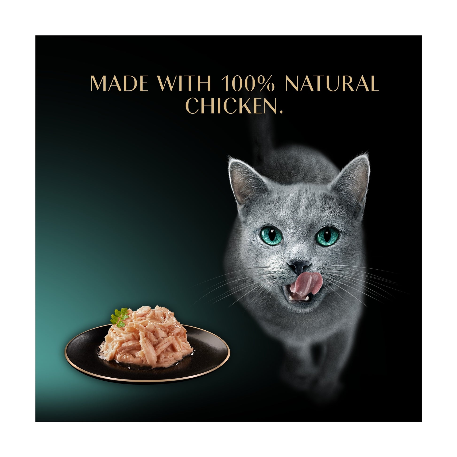 SHEBA Filets Adult Cat Food Tray with Chicken in Gravy 60g — image 3
