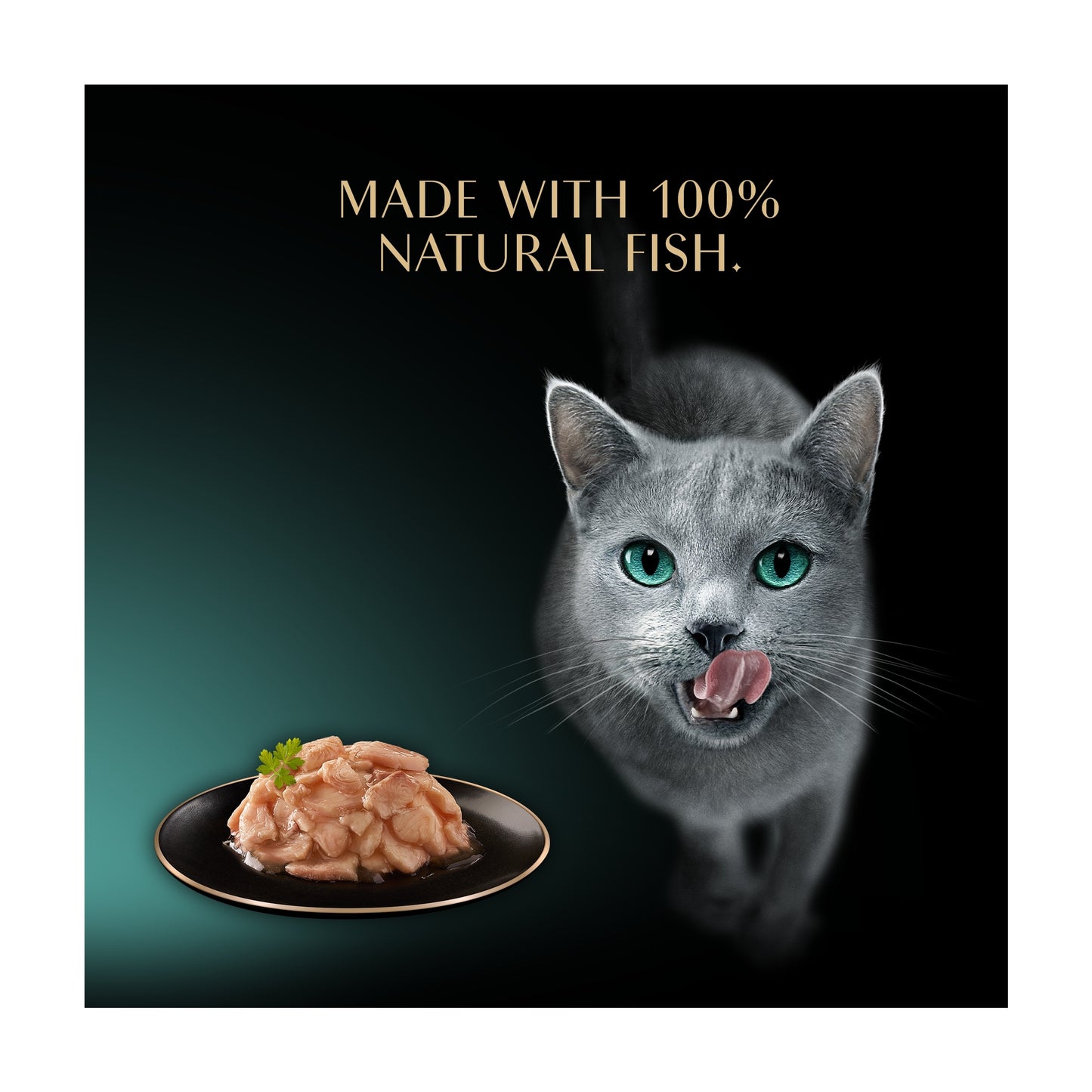 SHEBA Filets Adult Cat Food Tray with Whitefish in Gravy 60g — image 3