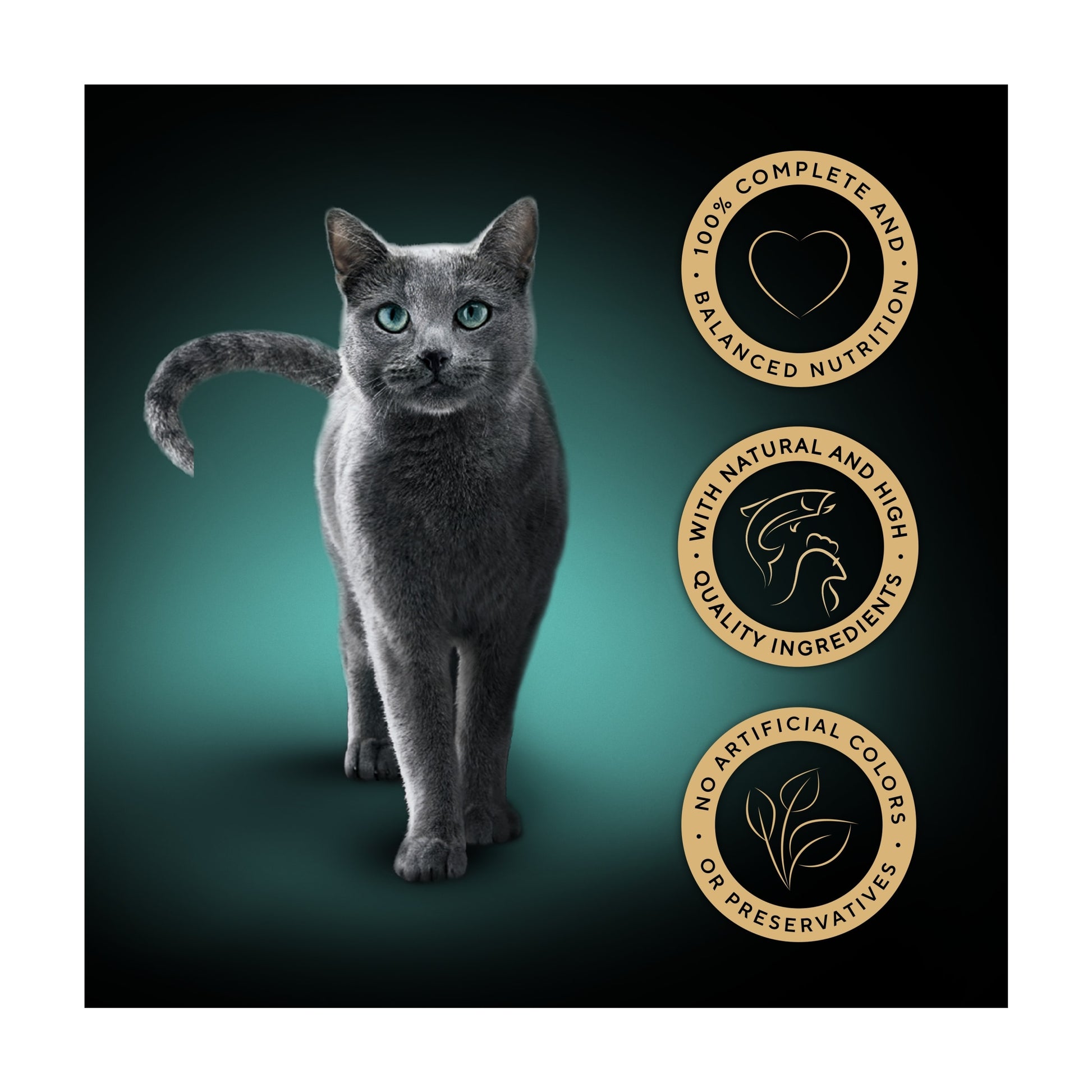 Sheba Fine Flakes Wet Cat Food Trays Chicken & Salmon Jelly 8x85g — image 2