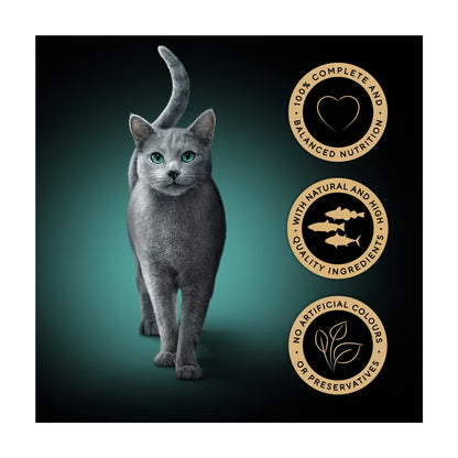 SHEBA Fresh & Fine Wet Cat Food Pouches Fish collection in Gravy 50x50g — image 2