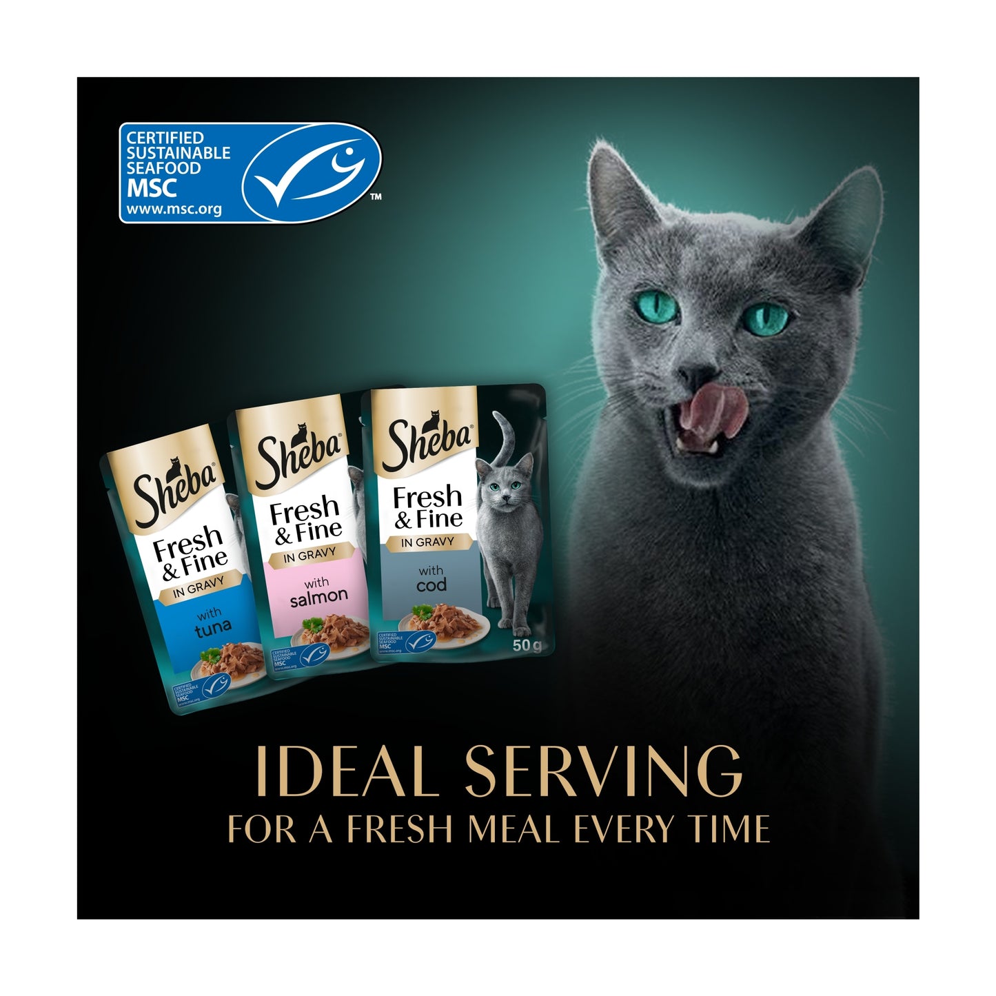 SHEBA Fresh & Fine Wet Cat Food Pouches Fish collection in Gravy 50x50g — image 4