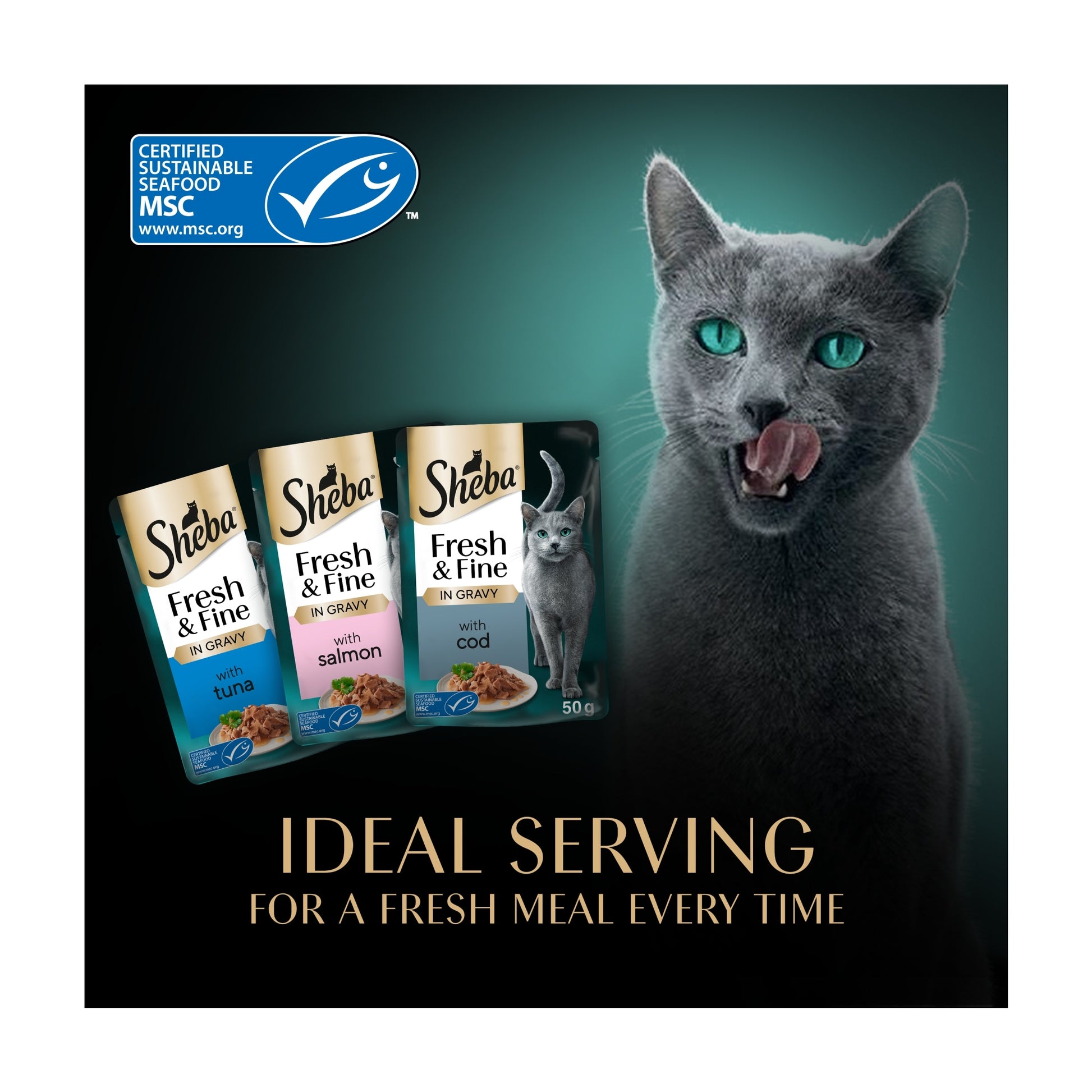 SHEBA Fresh & Fine Wet Cat Food Pouches Fish collection in Gravy 50x50g — image 4