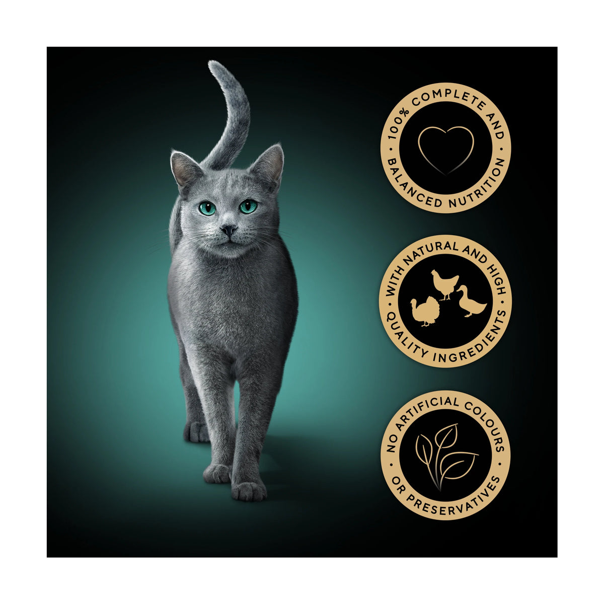 SHEBA Fresh & Fine Wet Cat Food Pouches Poultry in Gravy 50 x 50g — image 2