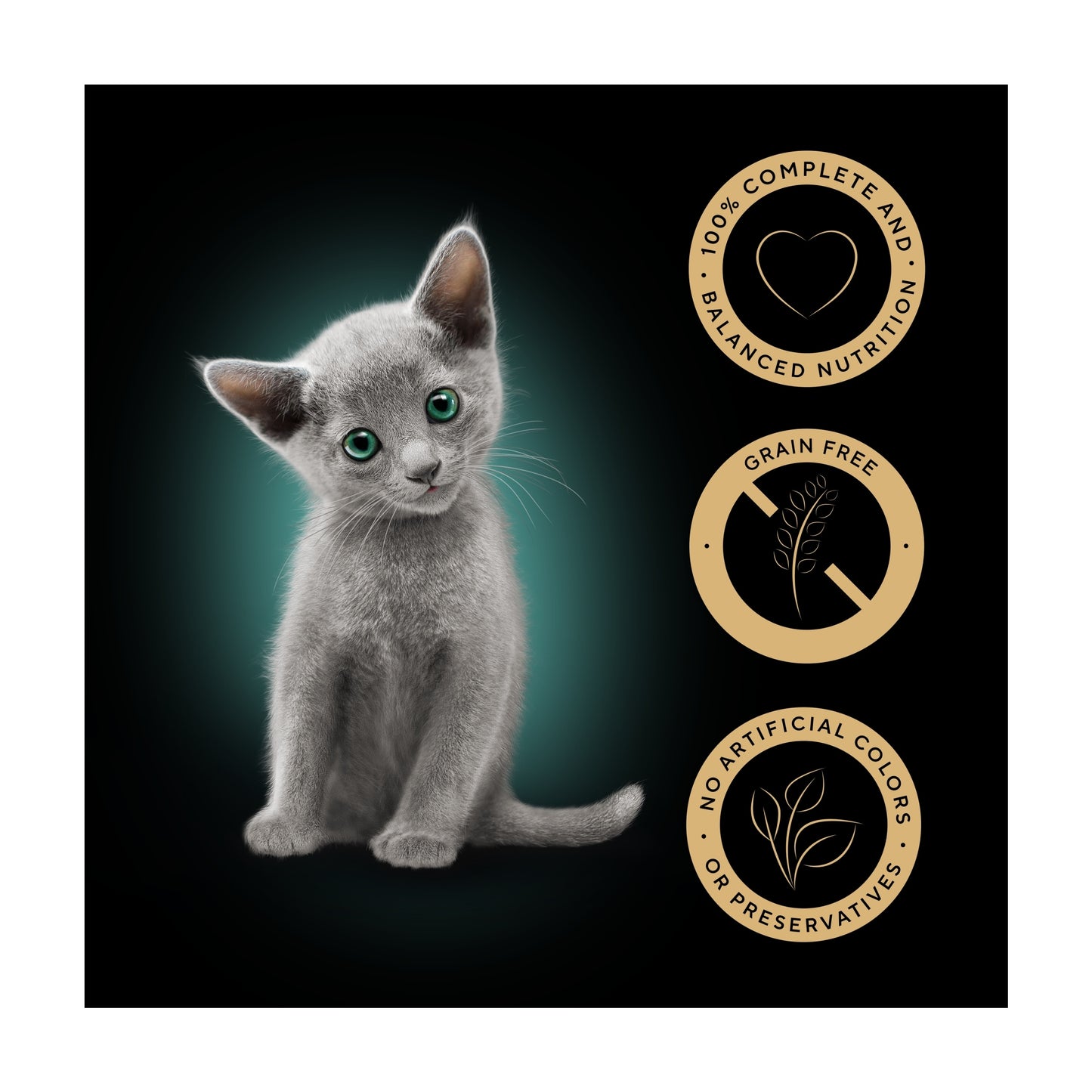 Sheba Kitten Wet Cat Food Mixed Selection in Gravy 12x85g — image 2