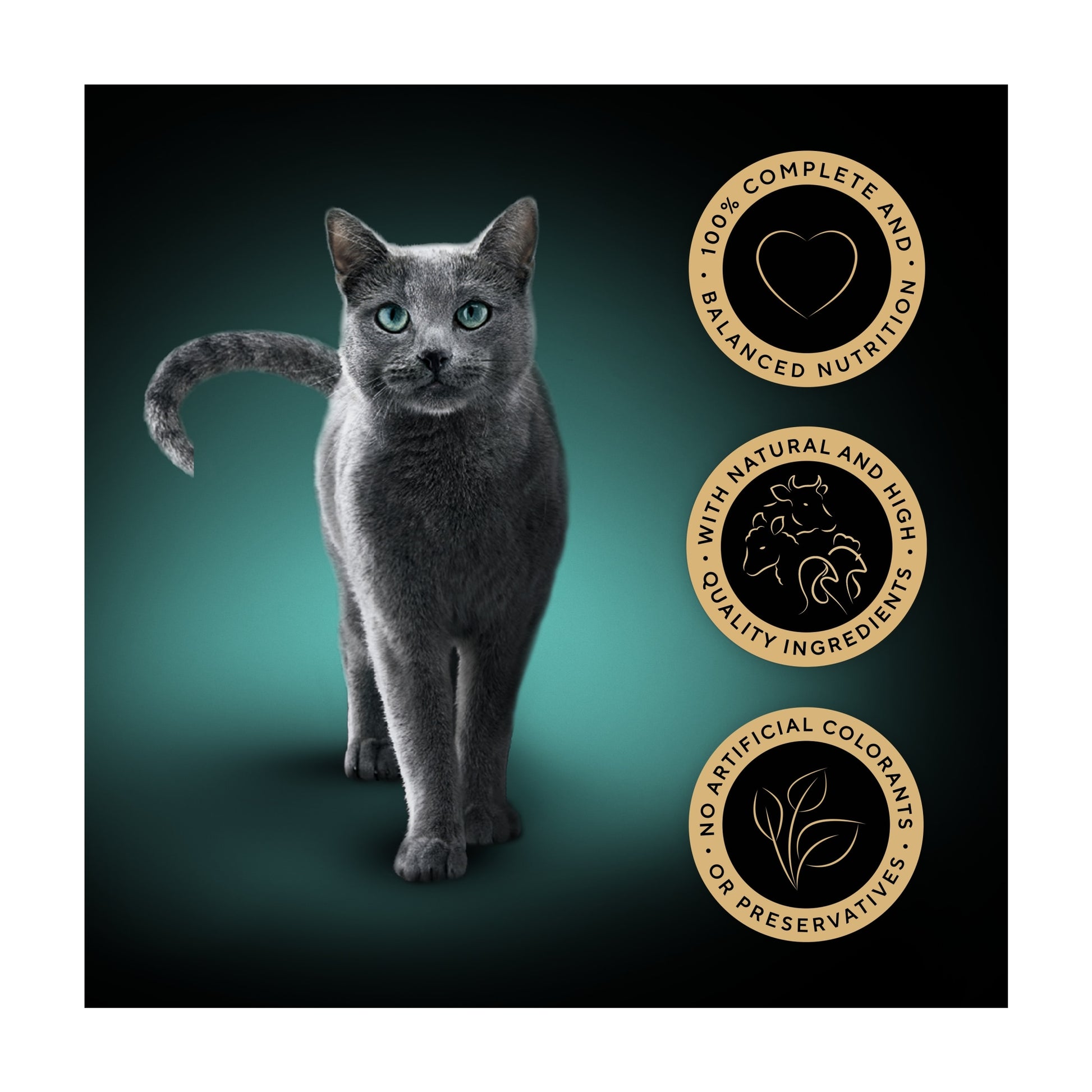 Sheba Sauce Collection Wet Cat Food Succulent selection 12x85g — image 2