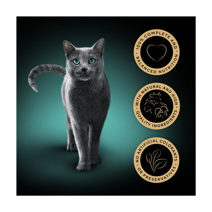 Sheba Sauce Collection Wet Cat Food Succulent selection 12x85g — image 2