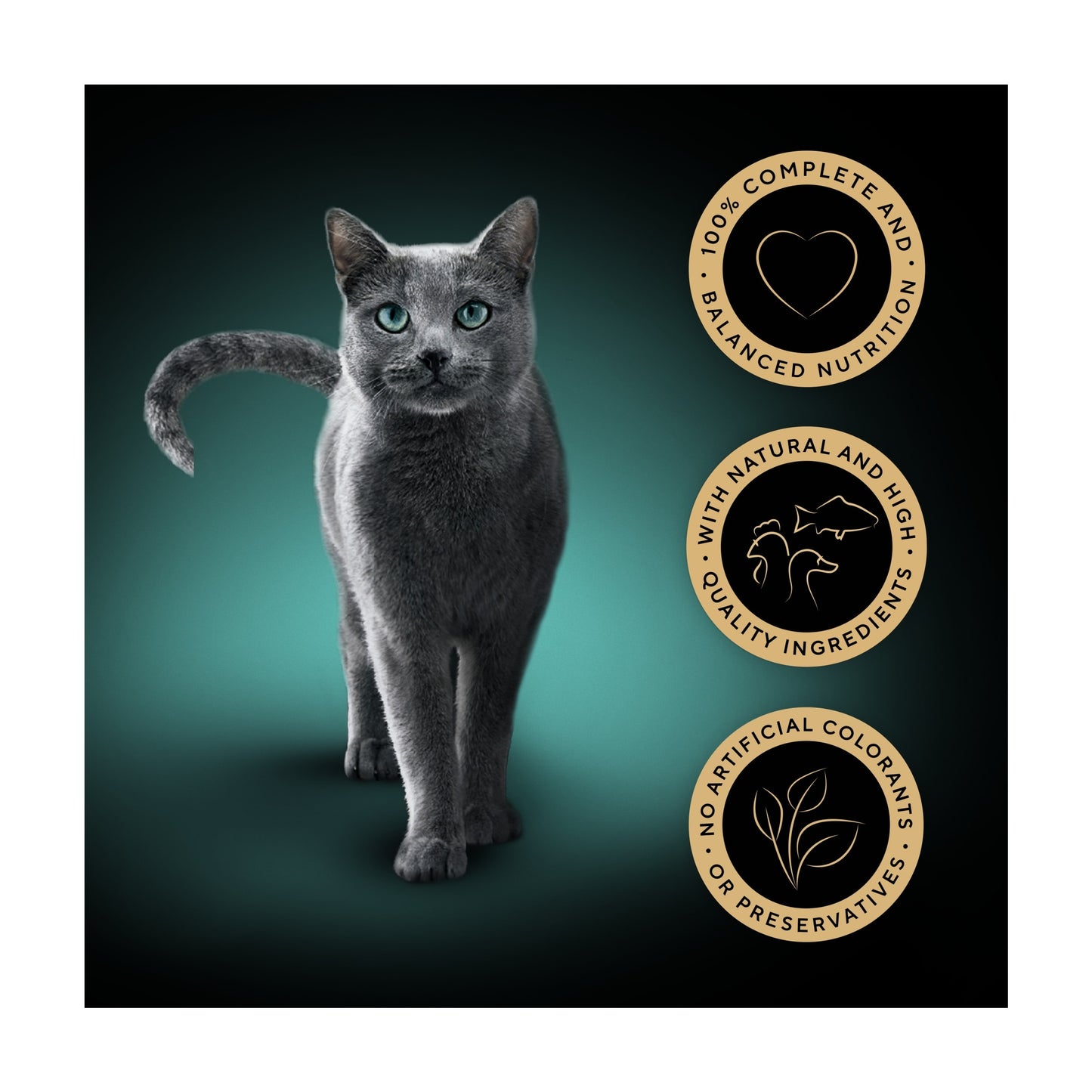 Sheba Sauce Lover Wet Cat Food Trays Mixed in Gravy 8x85g — image 2