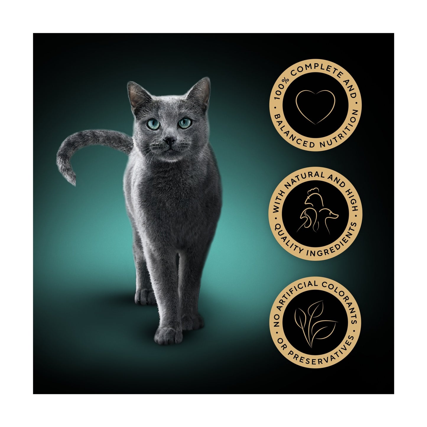Sheba Select Slices Wet Cat Food Trays Poultry in Gravy 8x85g — image 2