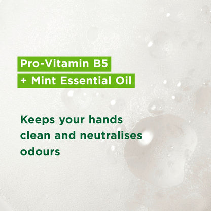 Simple Gentle Care Kind To Skin Antibacterial Handwash 250ml — image 4