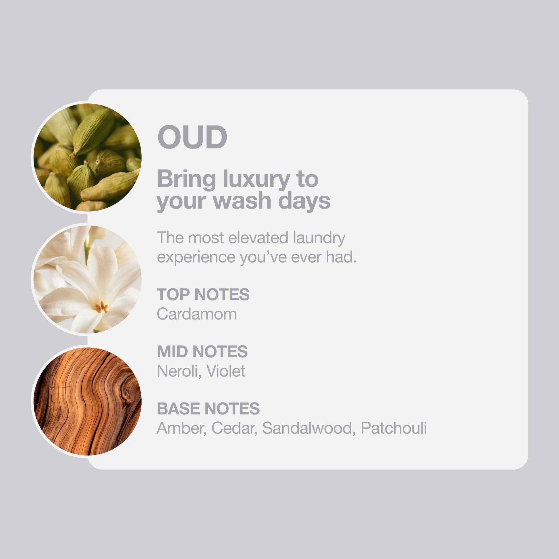 Tallow + Ash Oud Laundry Conditioner 800ml