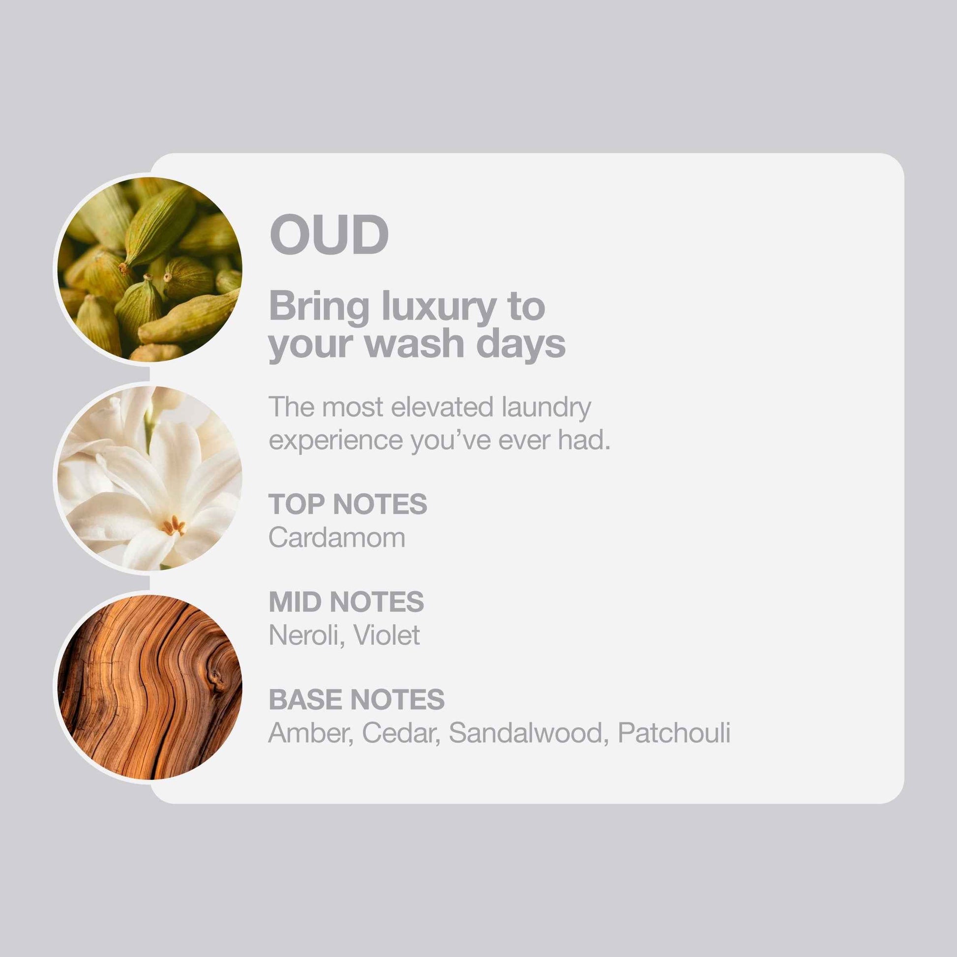 Tallow + Ash Oud Laundry Shampoo 800ml