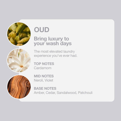 Tallow + Ash Oud Laundry Shampoo 800ml