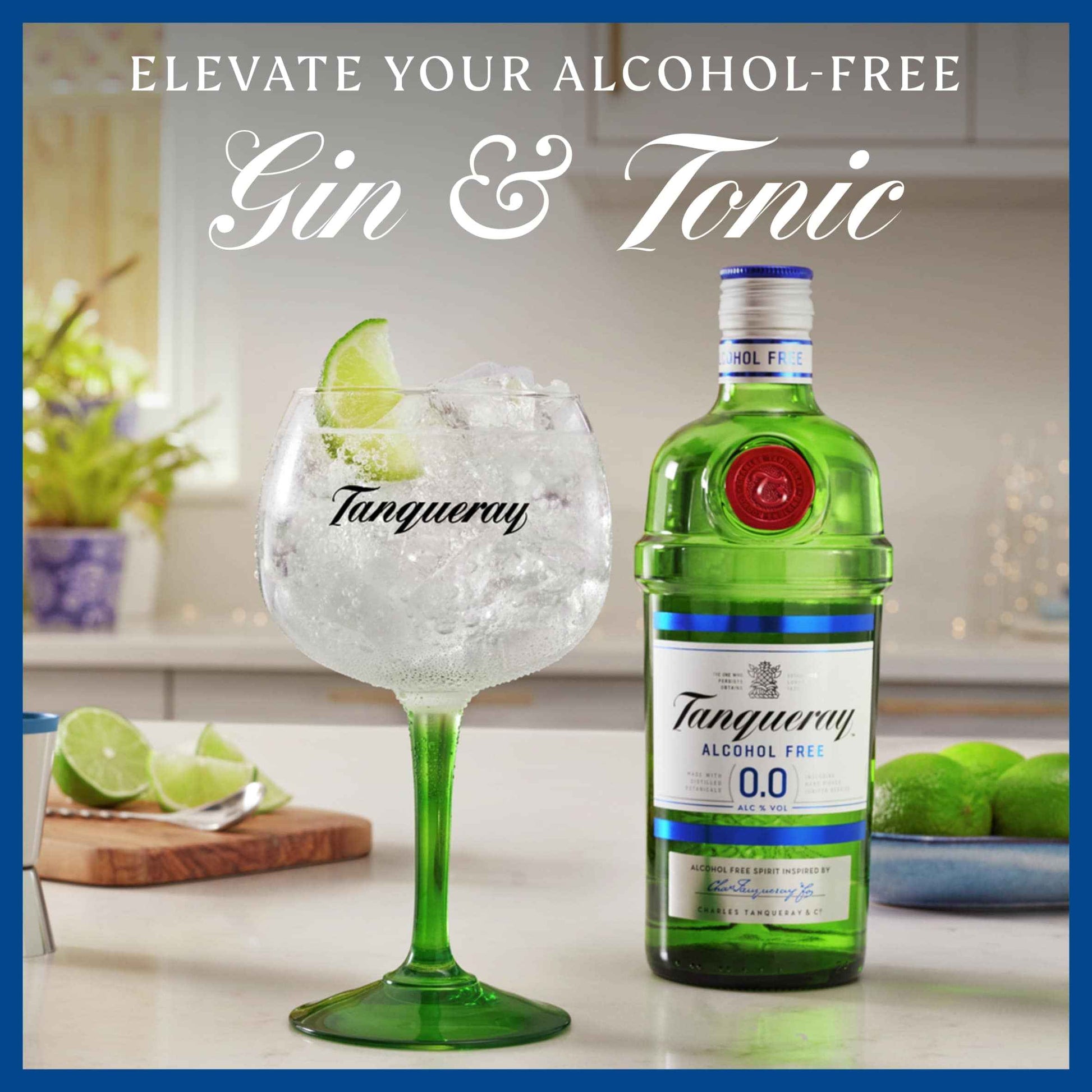 Tanqueray Alcohol Free 0% Spirit 70cl