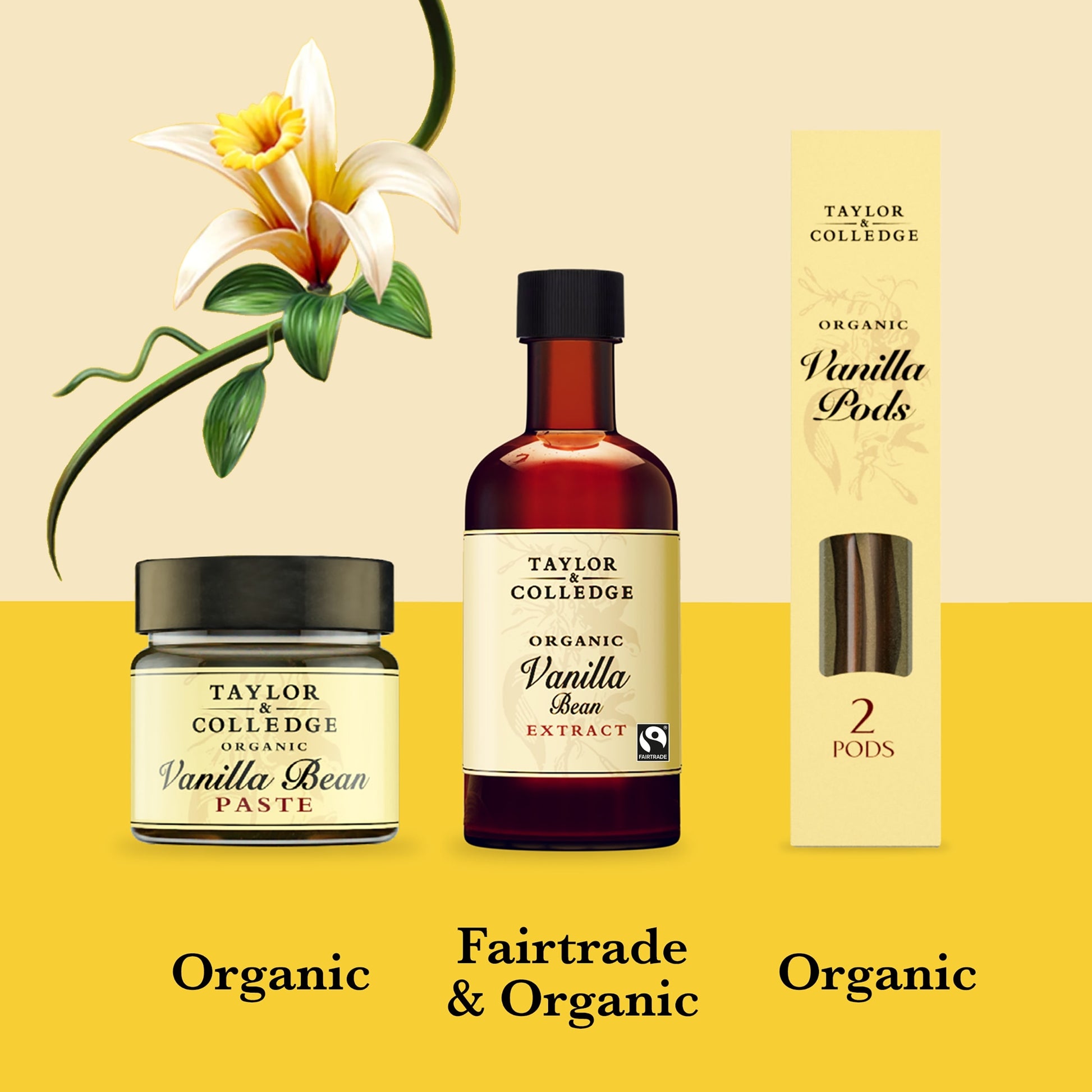 Taylor & Colledge Organic Vanilla Bean Paste 65G — image 3