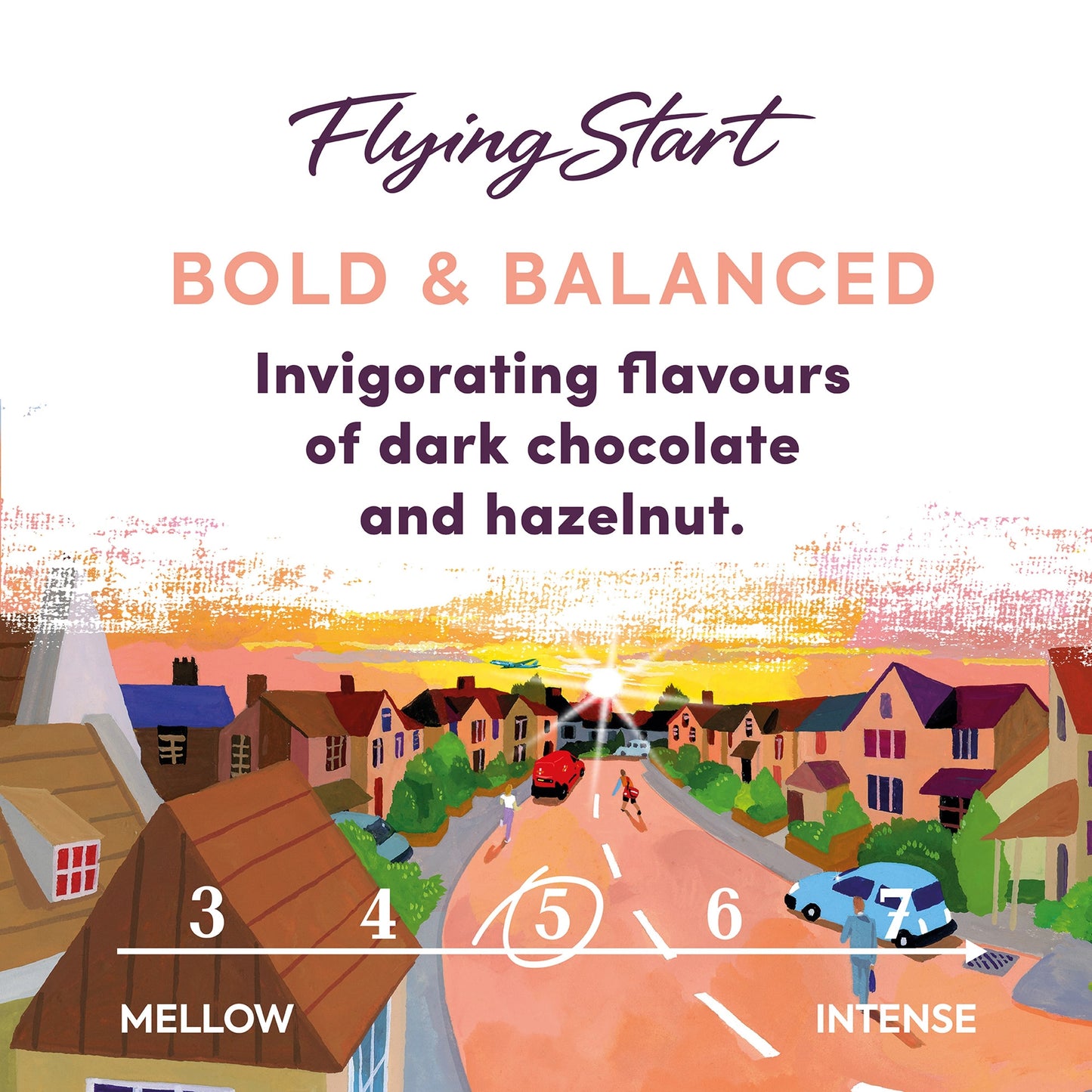 Taylors Flying Start Coffee Bags 10S 75G — image 2