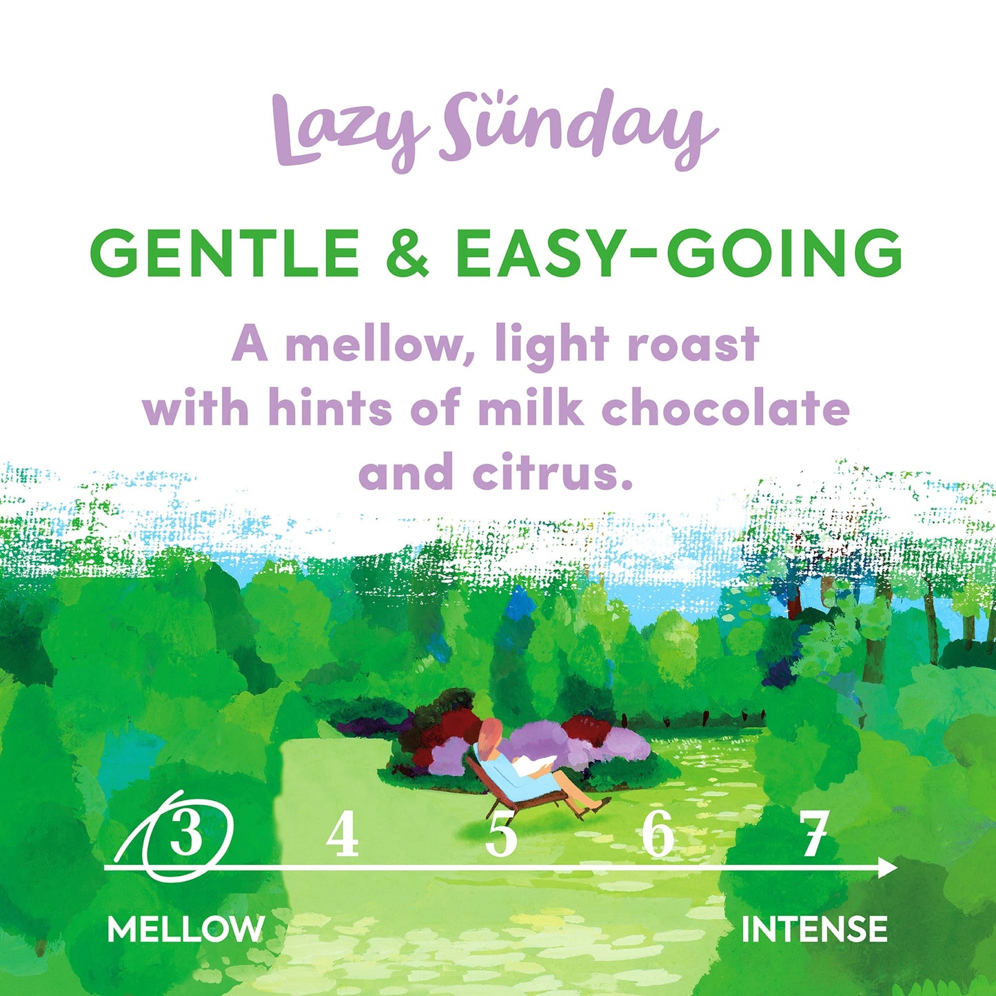Taylors Lazy Sunday Roast Ground Coffee 200G — image 2
