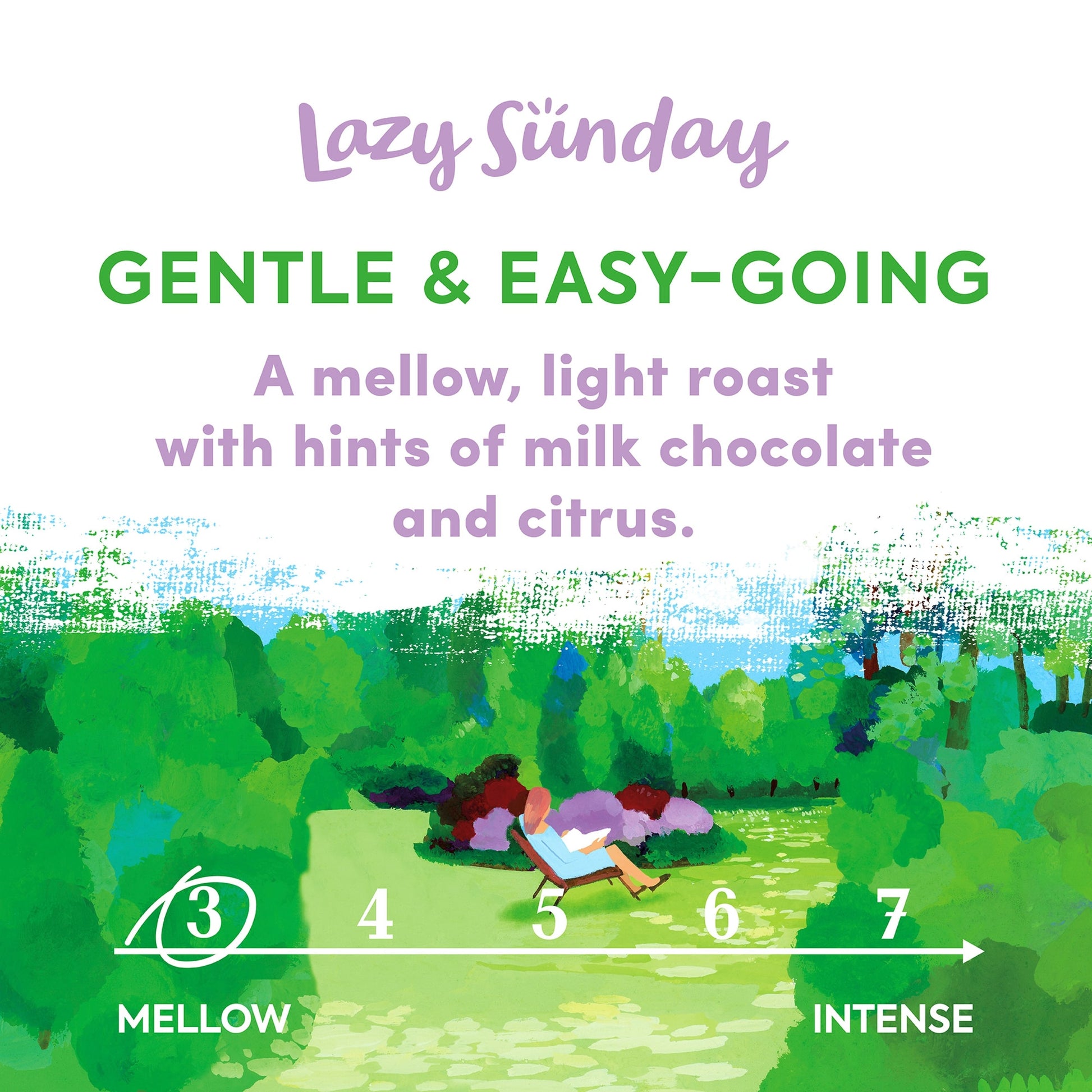 Taylors of Harrogate Lazy Sunday Beans Roast Coffee 200g — image 2