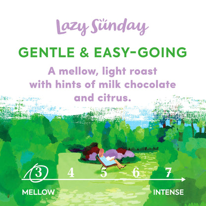 Taylors of Harrogate Lazy Sunday Beans Roast Coffee 200g — image 2