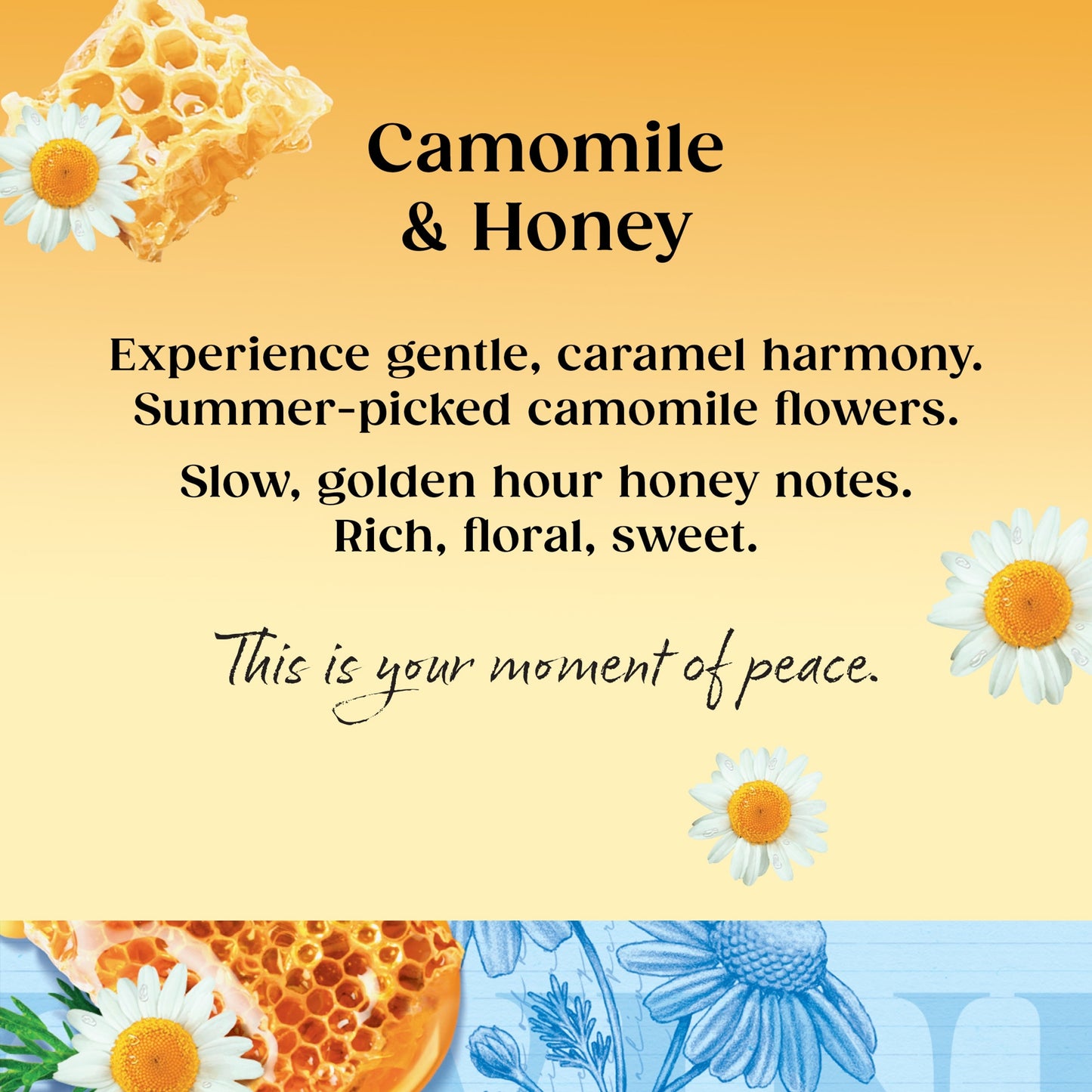 Twinings Camomile & Honey Tea Bags 20 Pack 30g — image 2