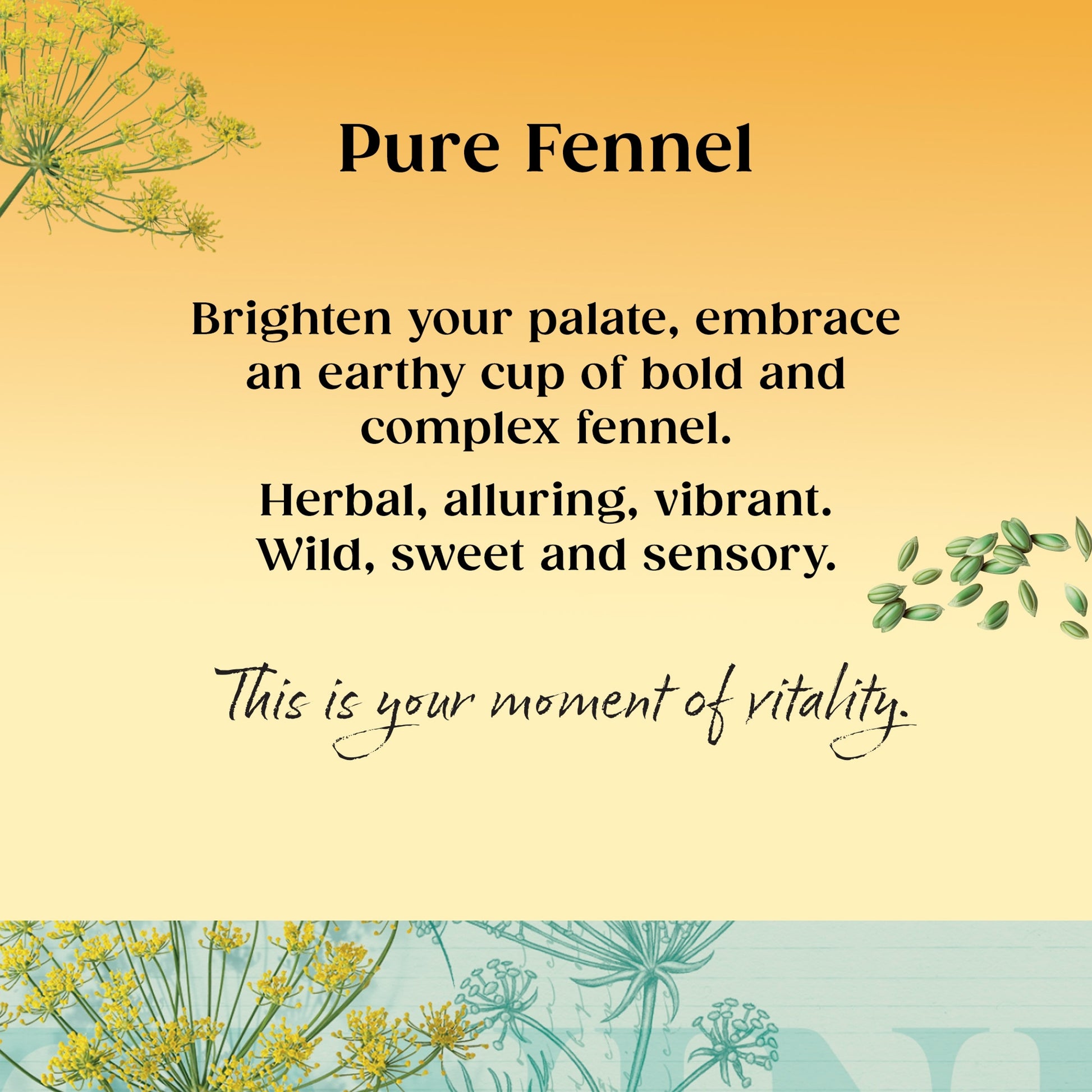 Twinings Fennel 20 Tea Bags 40G — image 2