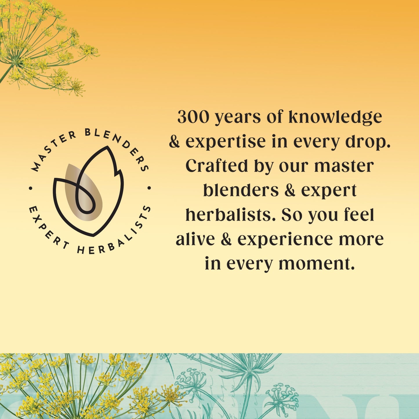 Twinings Fennel 20 Tea Bags 40G — image 4