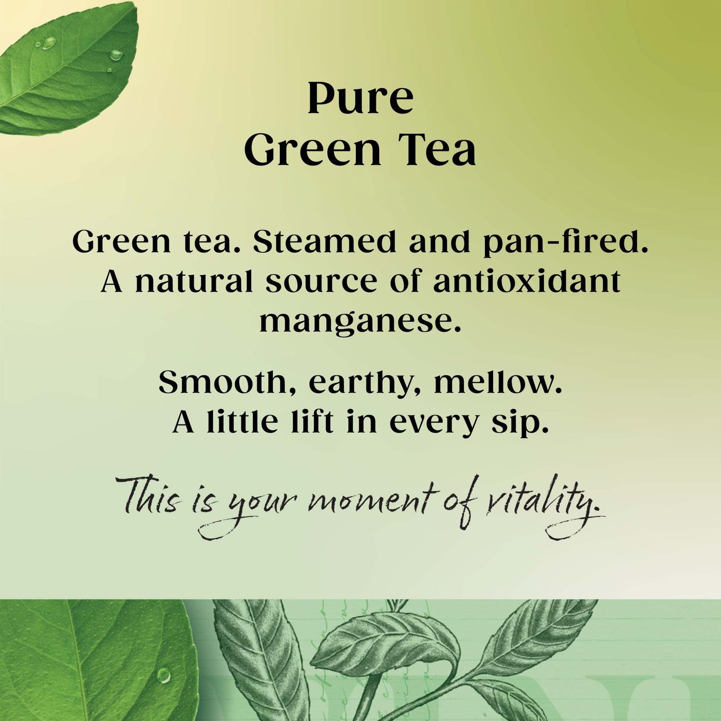 Twinings Green Tea 20 Tea Bags 50G — image 2