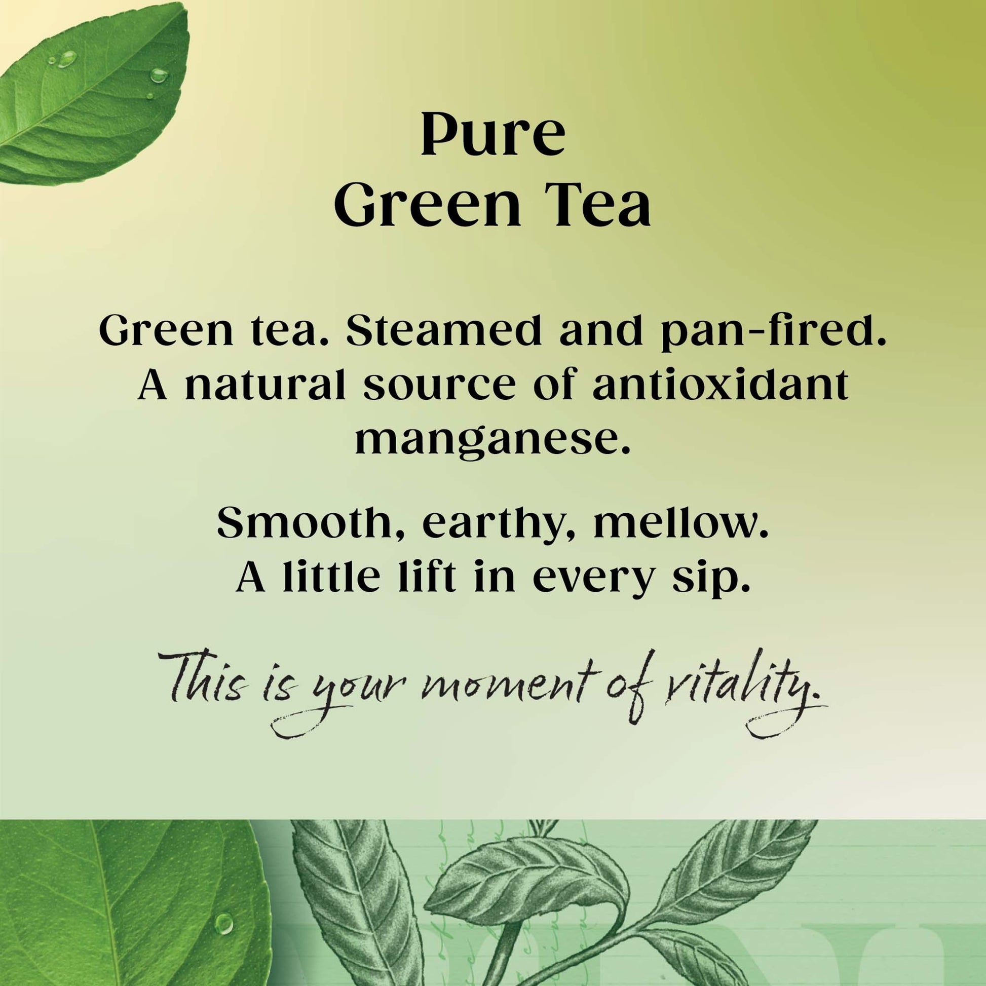 Twinings Green Tea 20 Tea Bags 50G — image 2