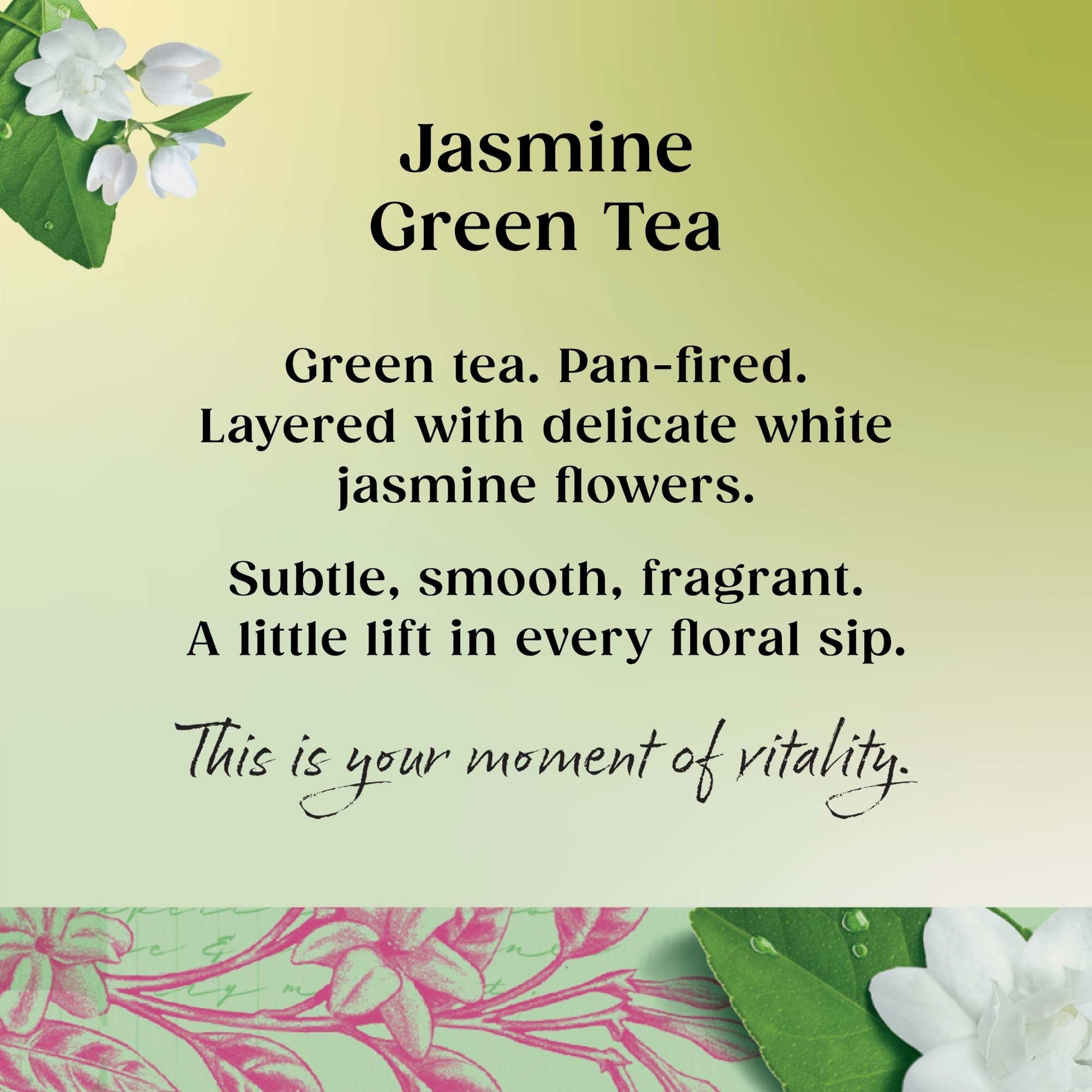Twinings Jasmine Green Tea 20 Pack 50g — image 2