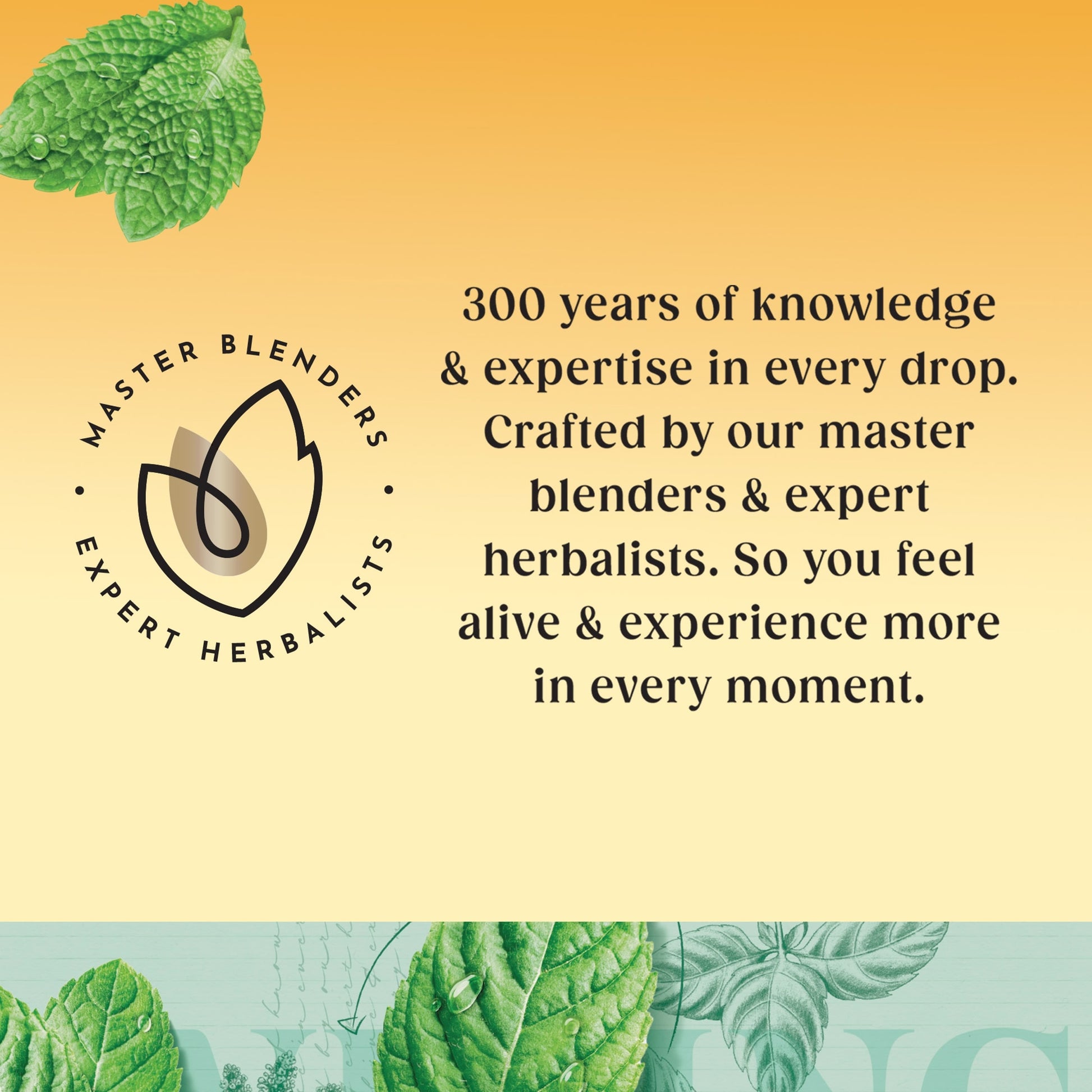Twinings Peppermint 80 Tea Bags 160G — image 5