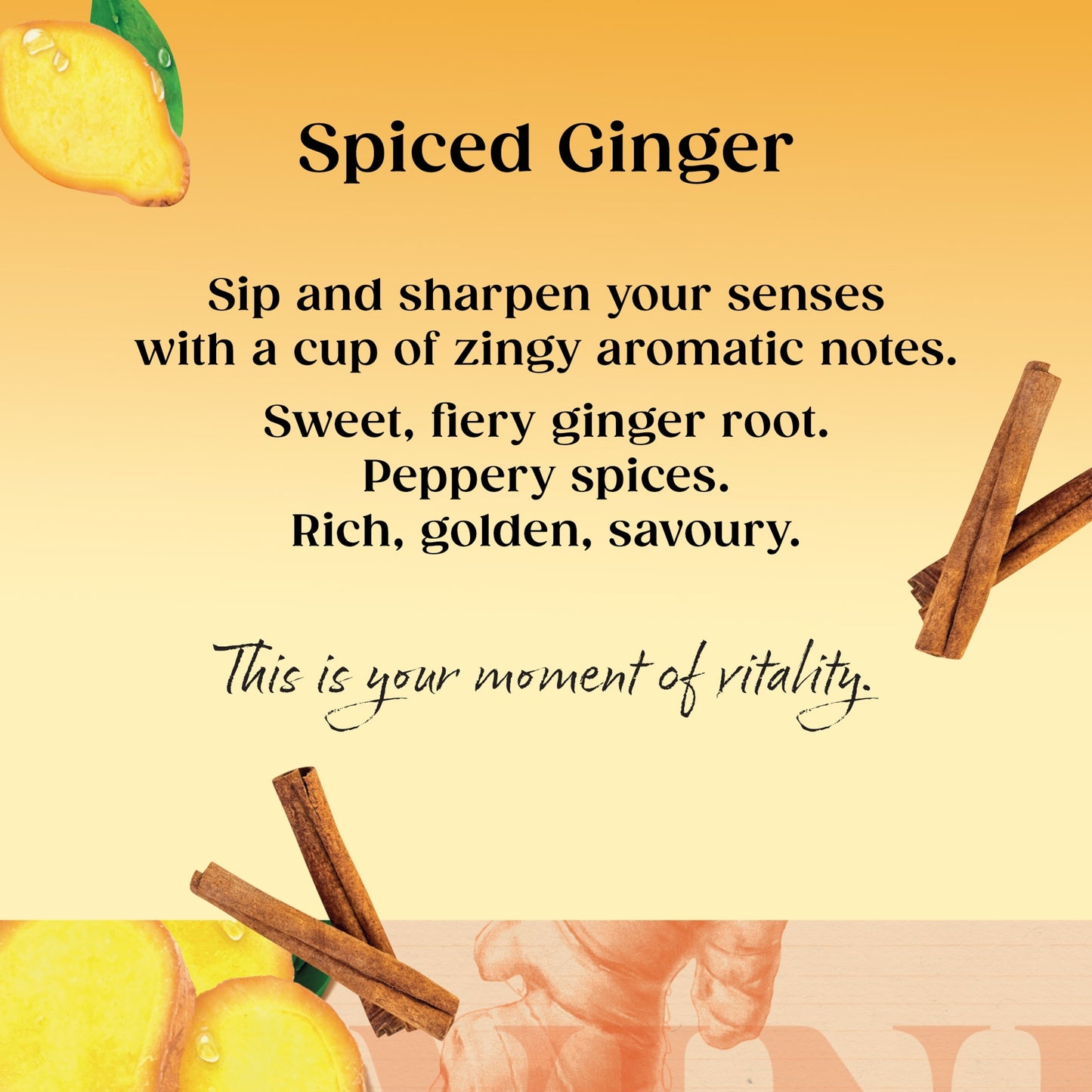 Twinings Spiced Ginger Tea Bags 20 Pack 35g — image 2