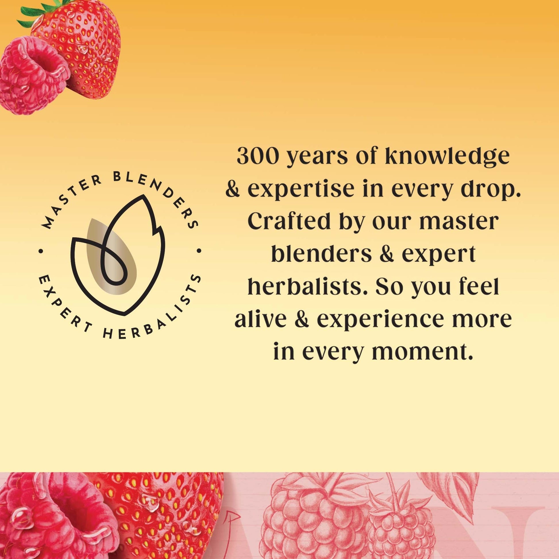 Twinings Strawberry & Raspberry 20 Tea Bags 40G — image 5