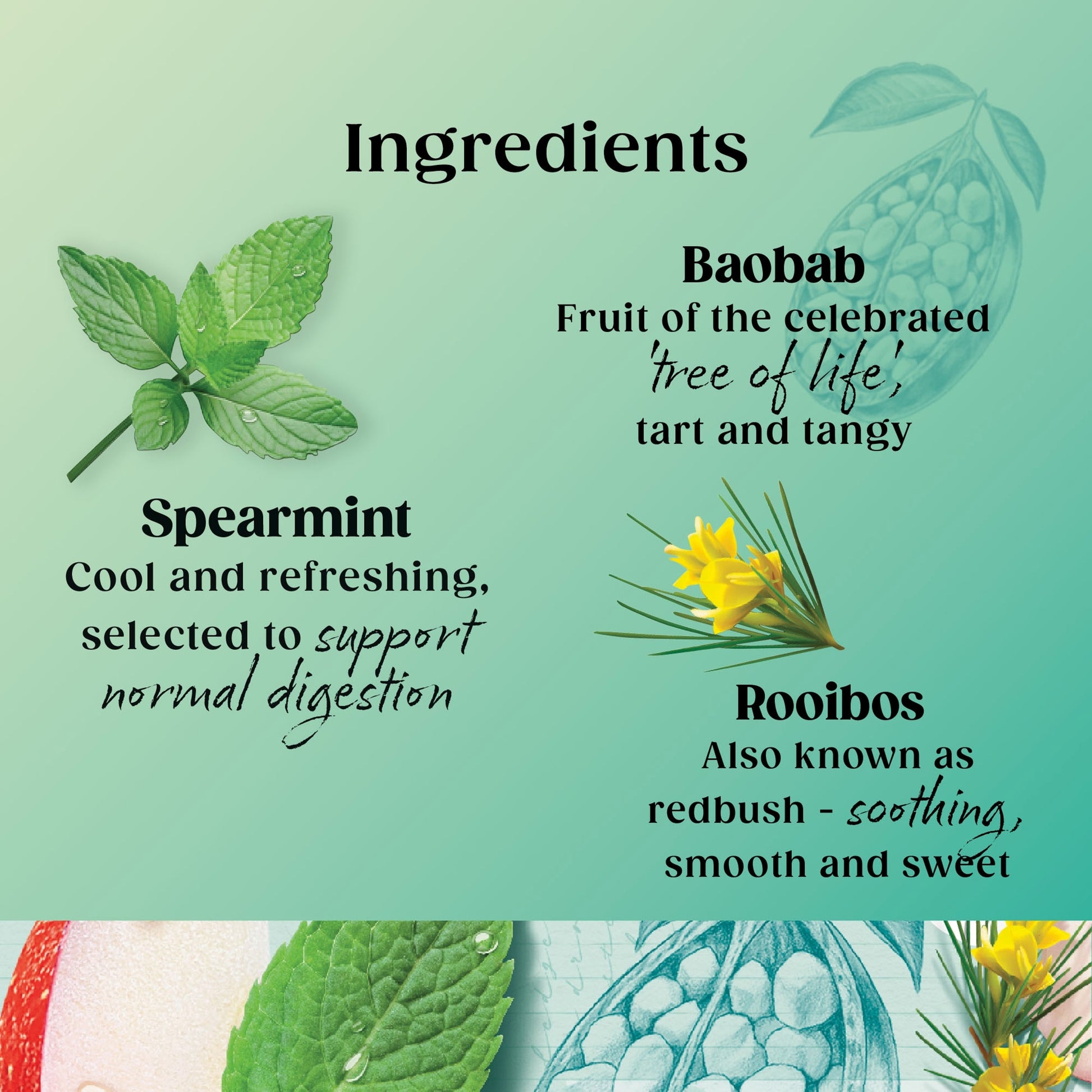 Twinings Superblends Digest Spearmint, Apple & Rooibos 20 Tea Bags 35g — image 3