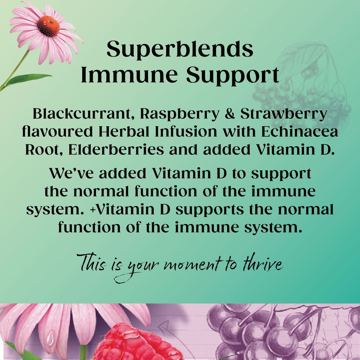 Twinings Superblends Immune Support Blackcurrant & Raspberry 20 Tea Bags 40g — image 2