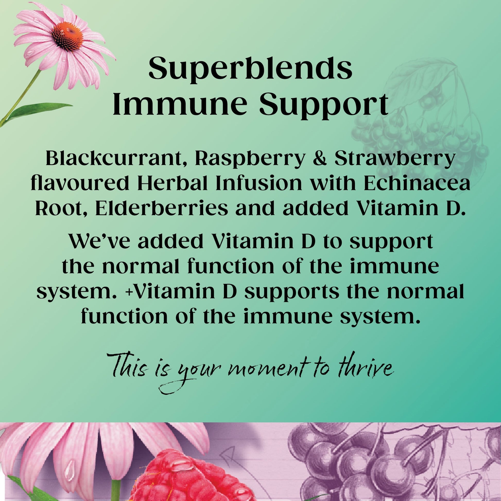 Twinings Superblends Immune Support Blackcurrant & Raspberry 20 Tea Bags 40g — image 2