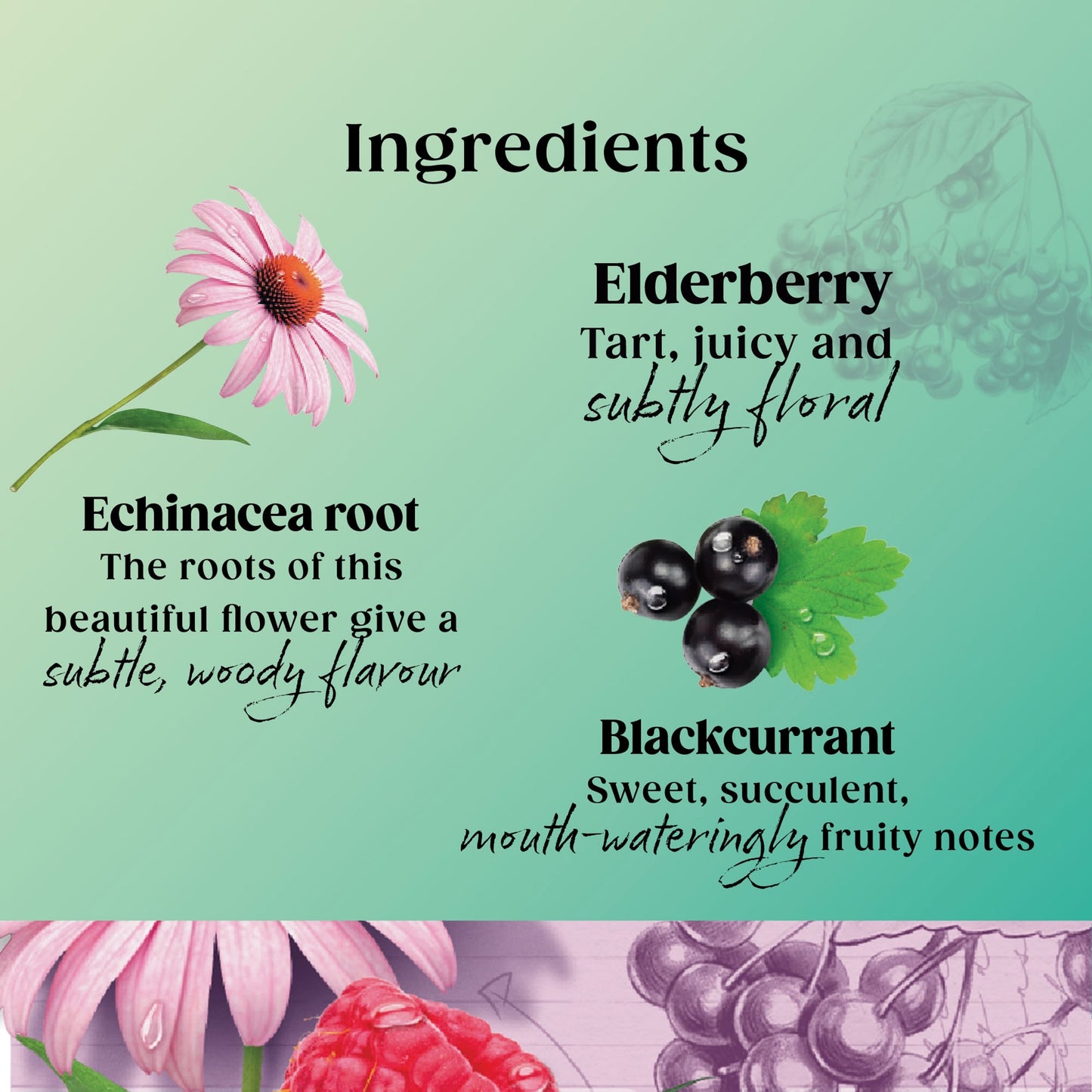 Twinings Superblends Immune Support Blackcurrant & Raspberry 20 Tea Bags 40g — image 3