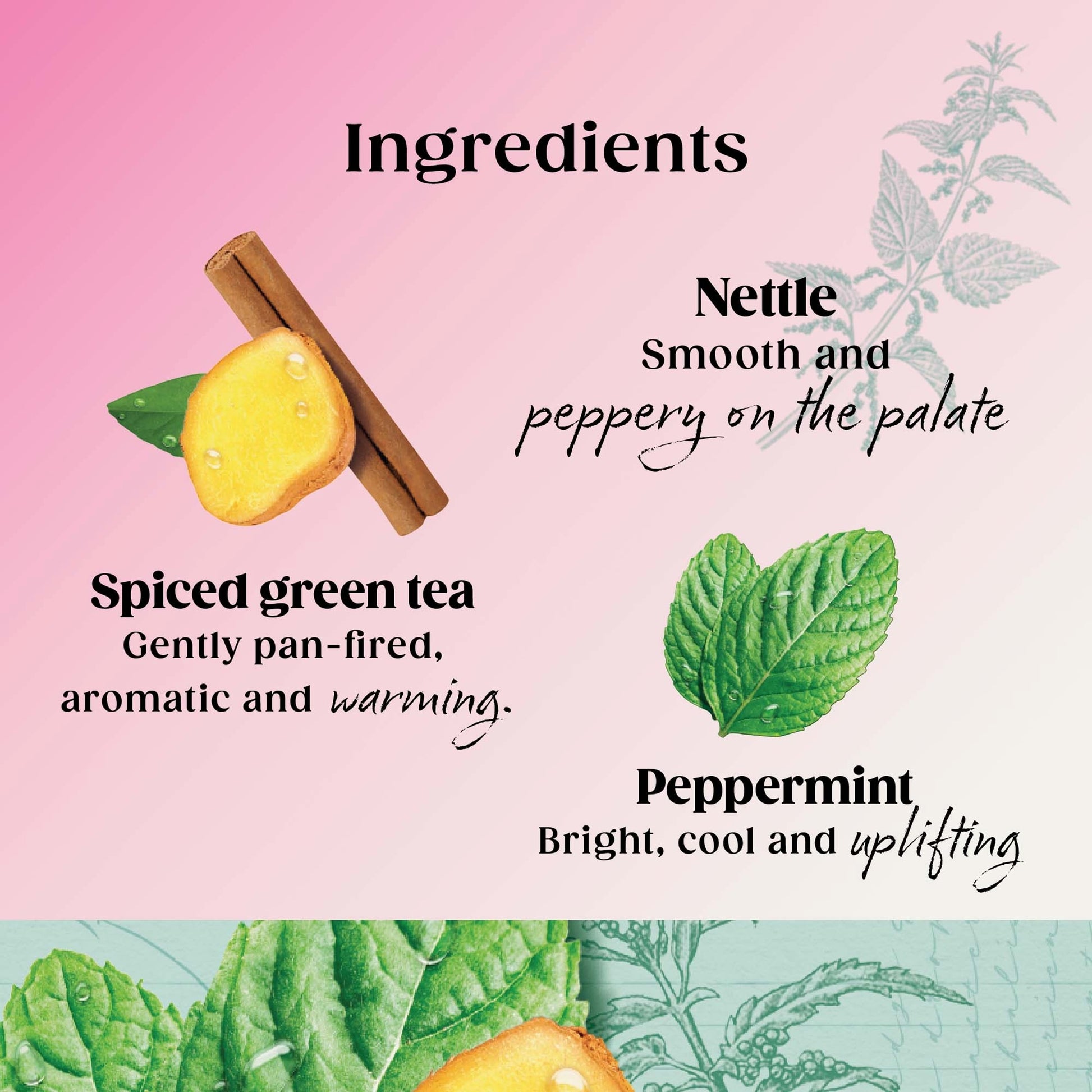 Twinings Superblends Metabolism Peppermint & Spiced Green Tea 20 Tea Bags 40g — image 3