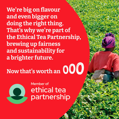 Typhoo 240 Premium Everyday Tea Bags 750G — image 4