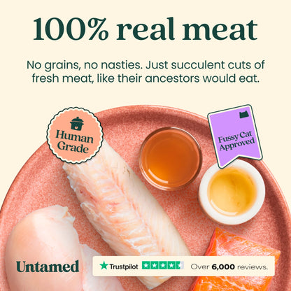 Untamed Wild Tuna in Gravy Cat Food 75G — image 2