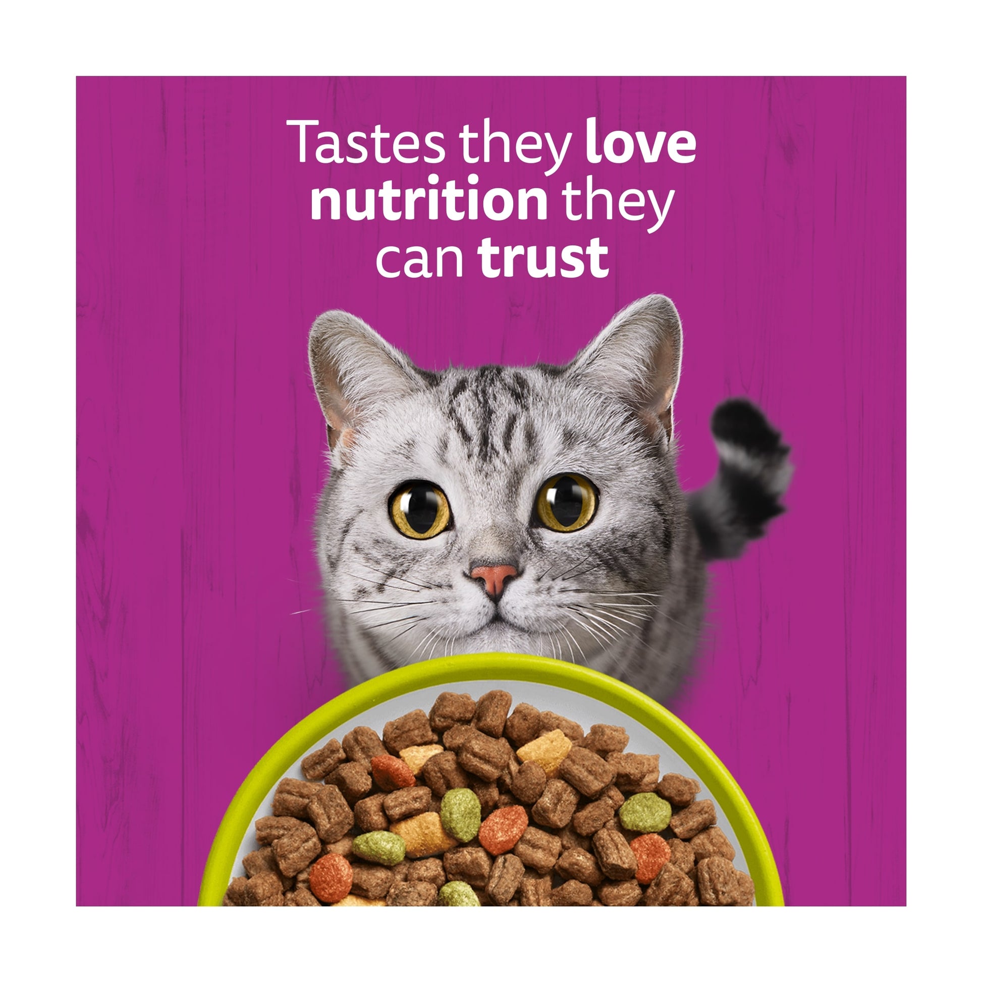 Whiskas 1+ Adult Dry Cat Food Biscuits Lamb 1.9kg — image 4
