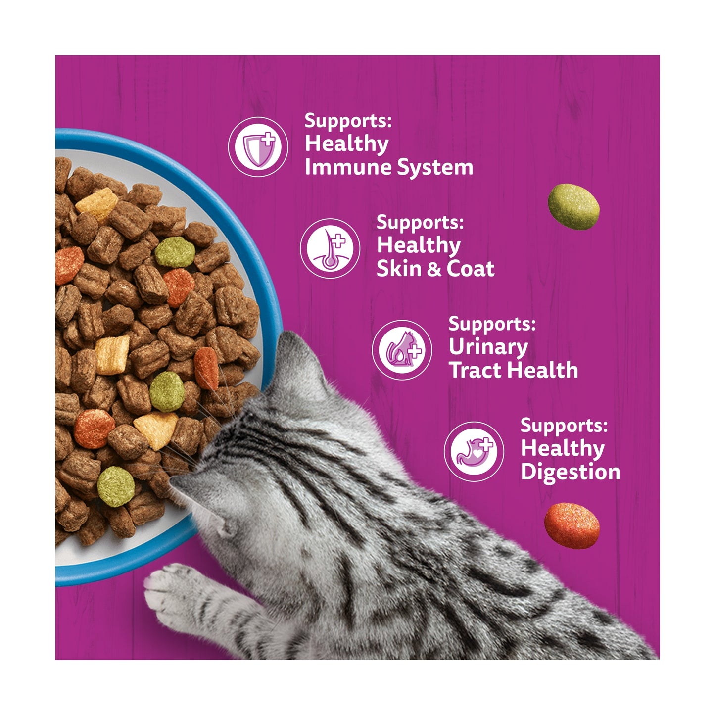 Whiskas 1+ Adult Dry Cat Food Biscuits Tuna 800g — image 3